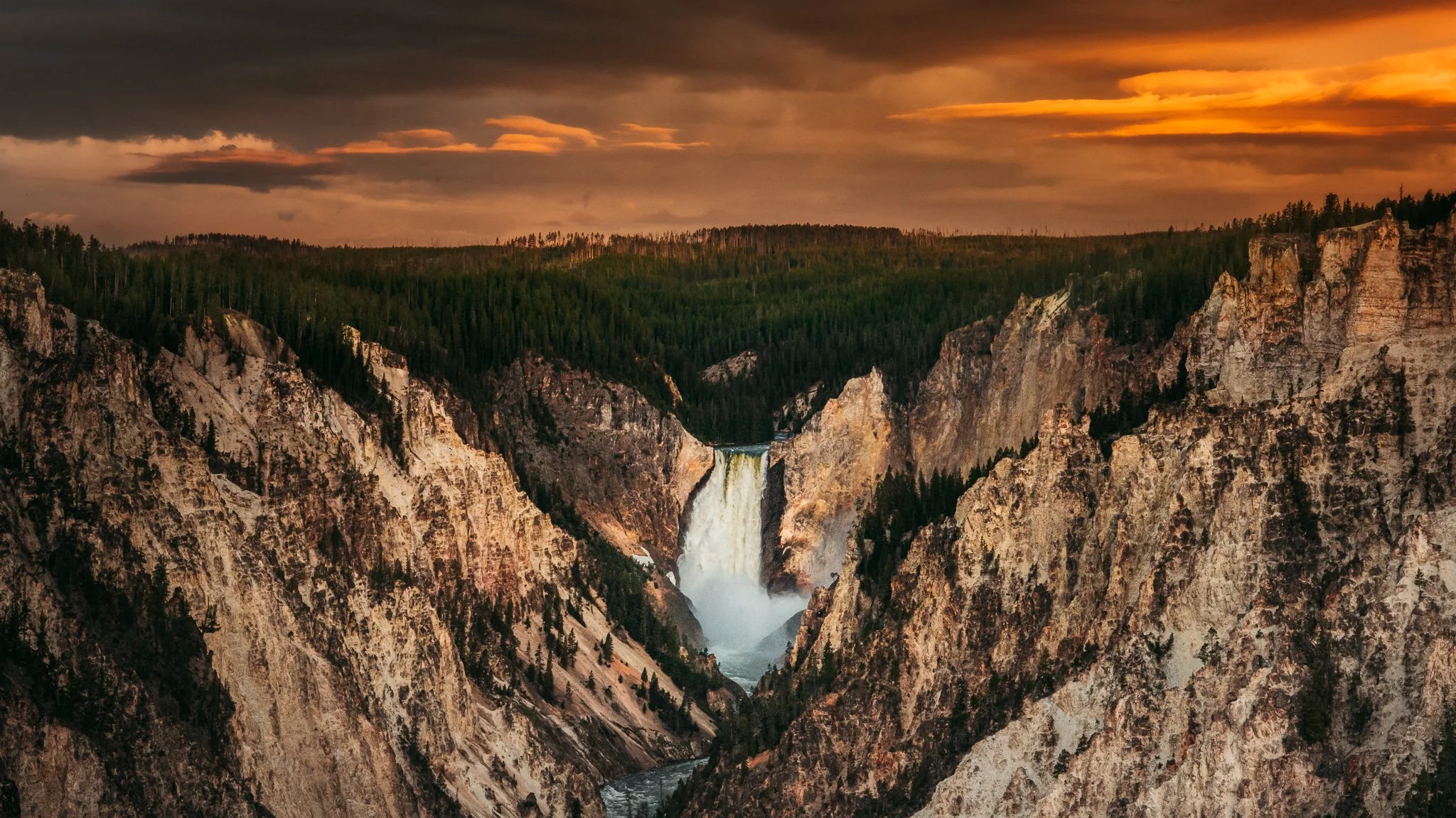 D85_1194.jpg