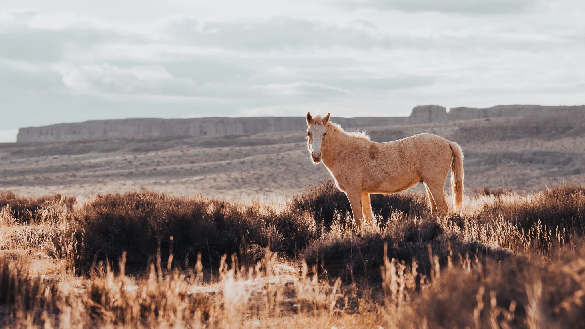 D85_1140.jpg