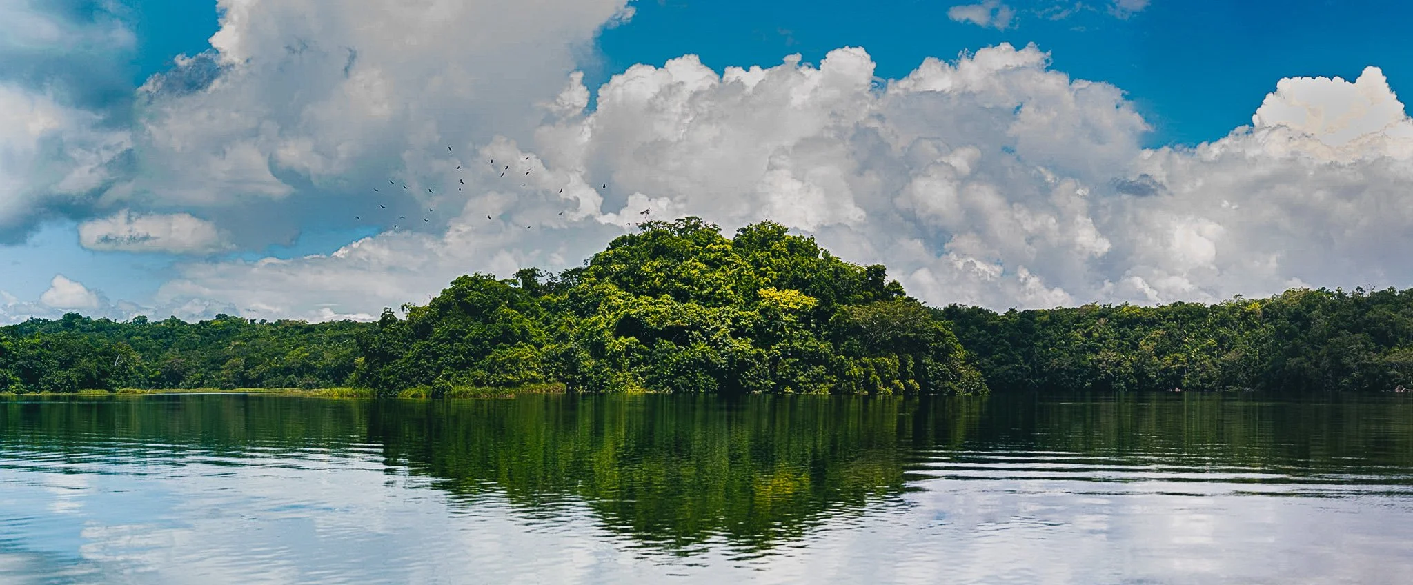 D85_5518-Pano.jpg