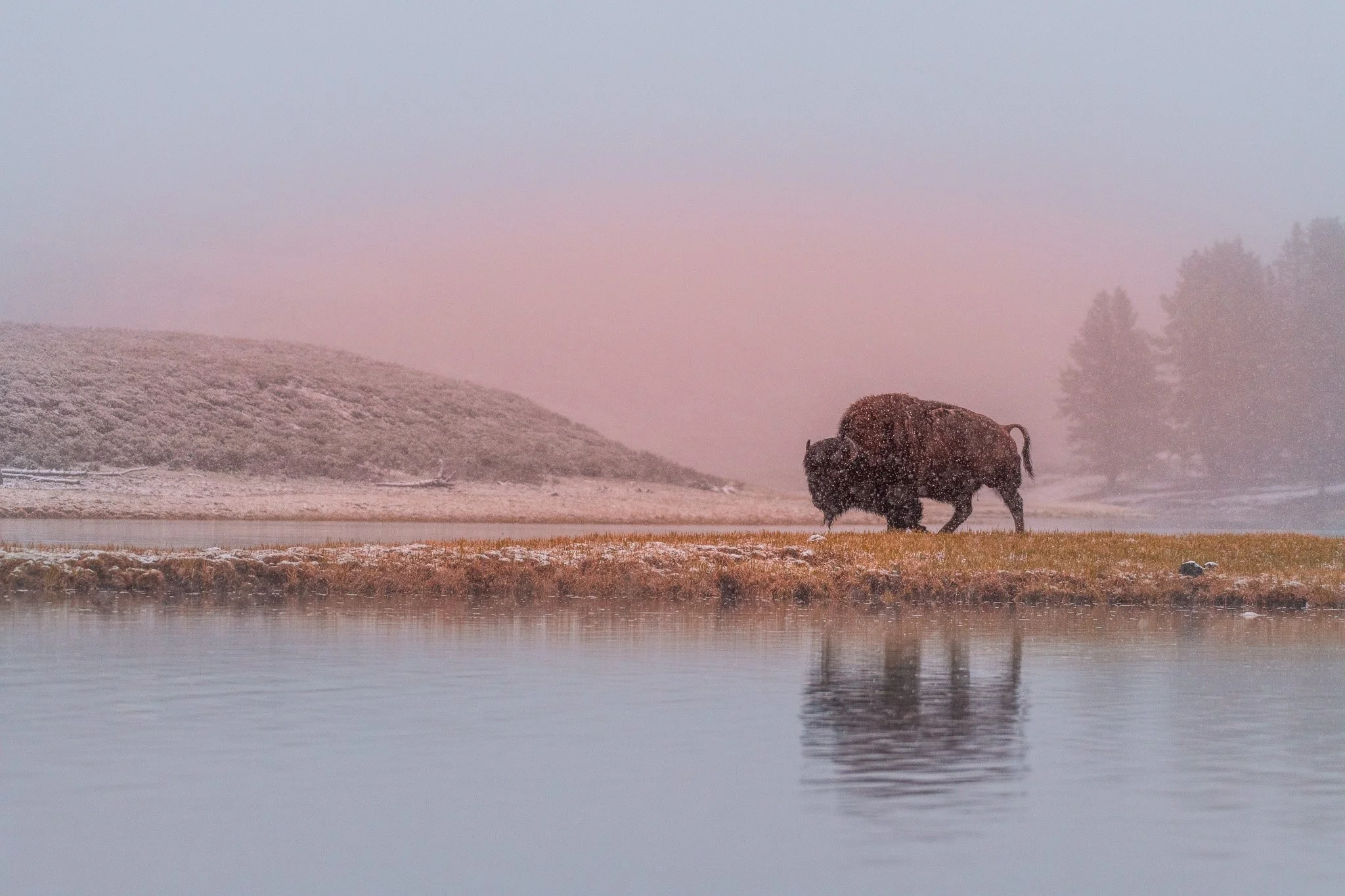 D85_7910.jpg