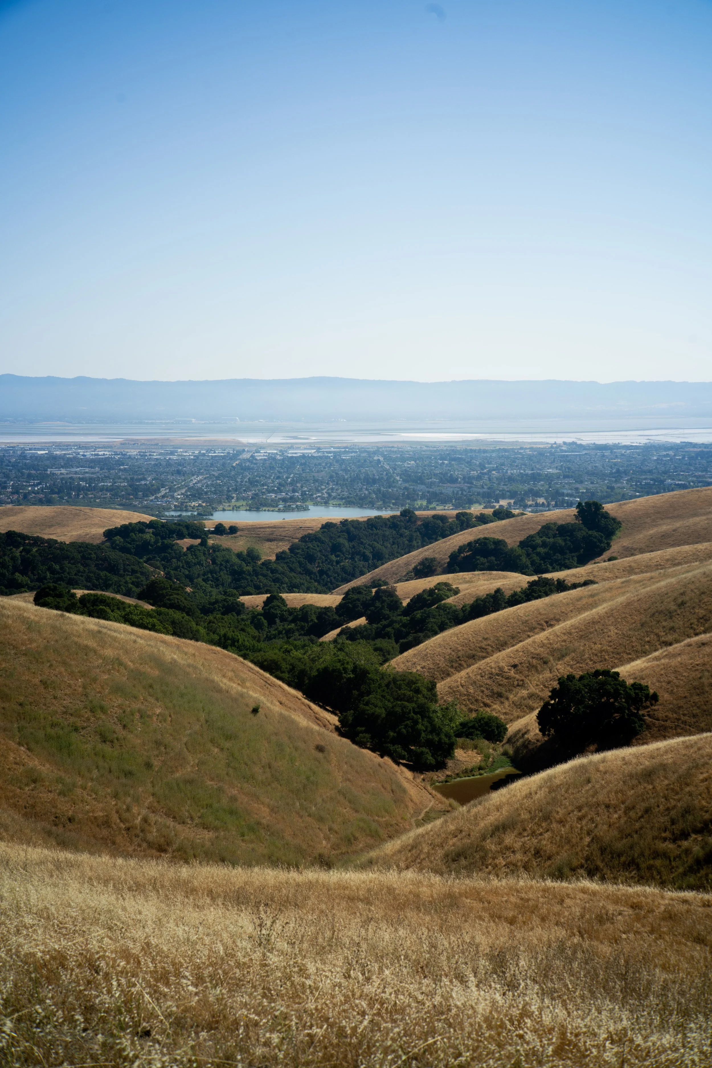 45-_DSC8146.jpg