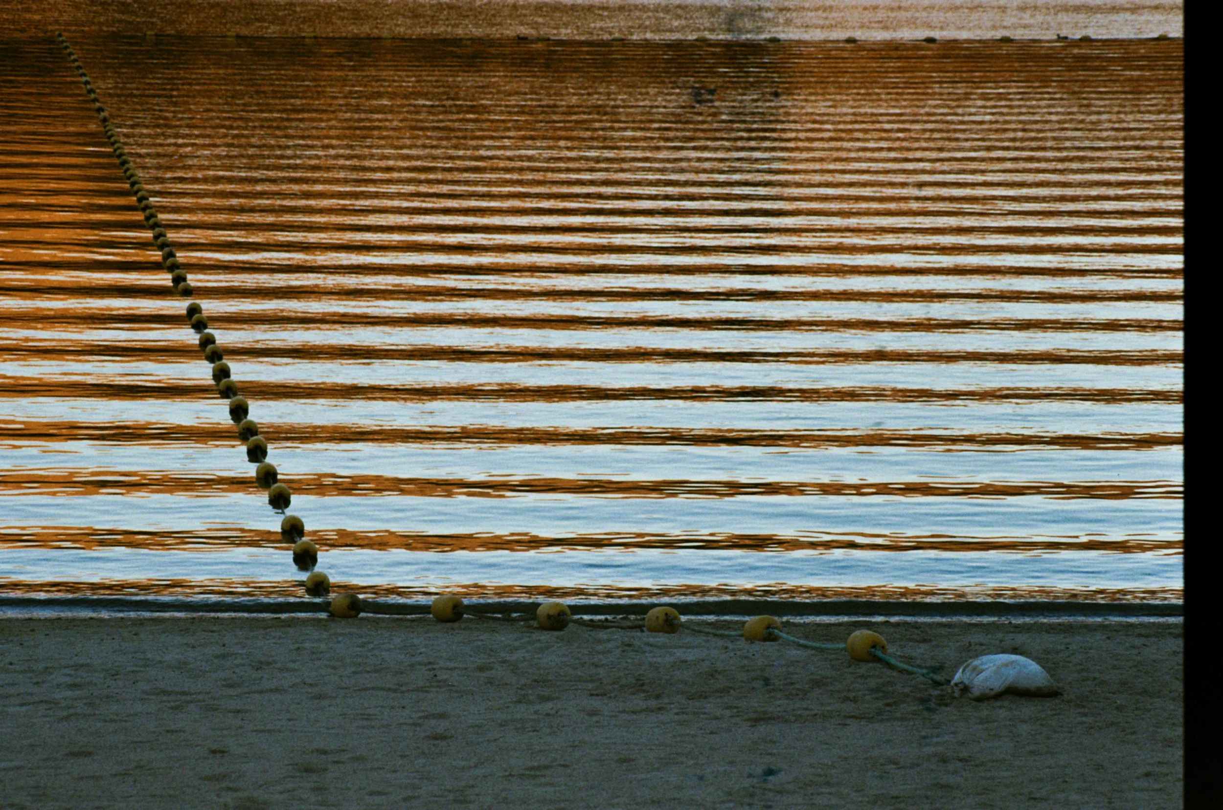 122-000024050001.jpg