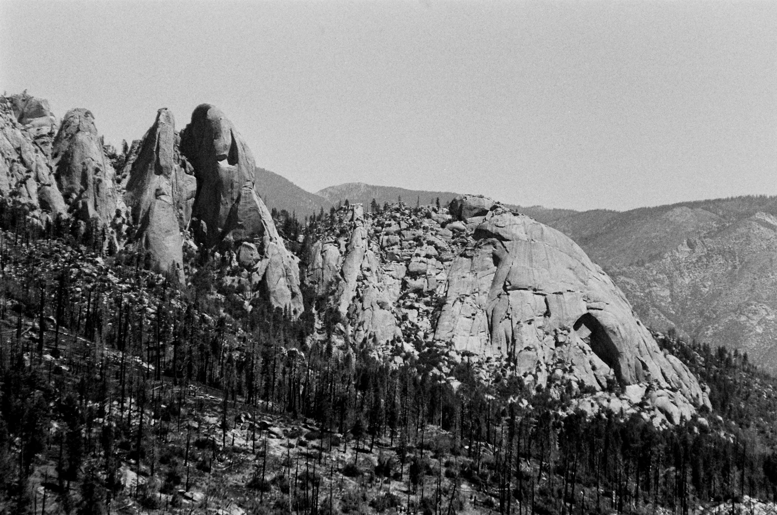 114-000021610032.jpg
