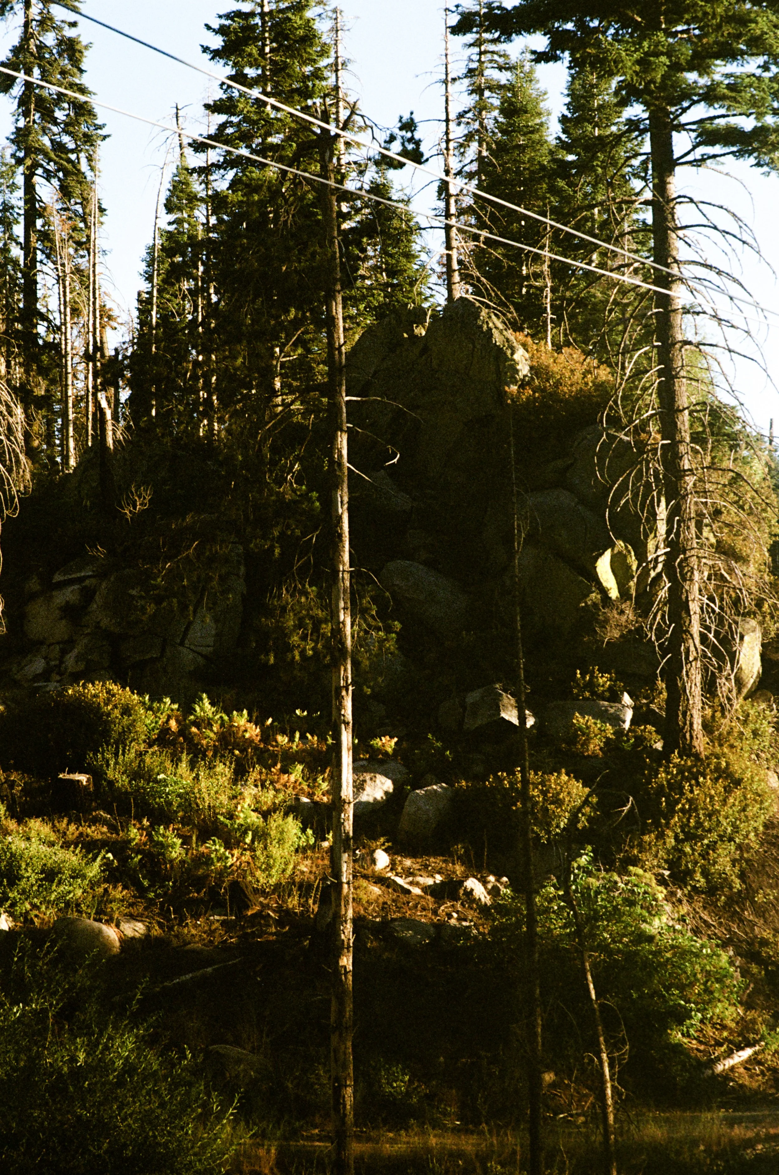 88-000021580006.jpg