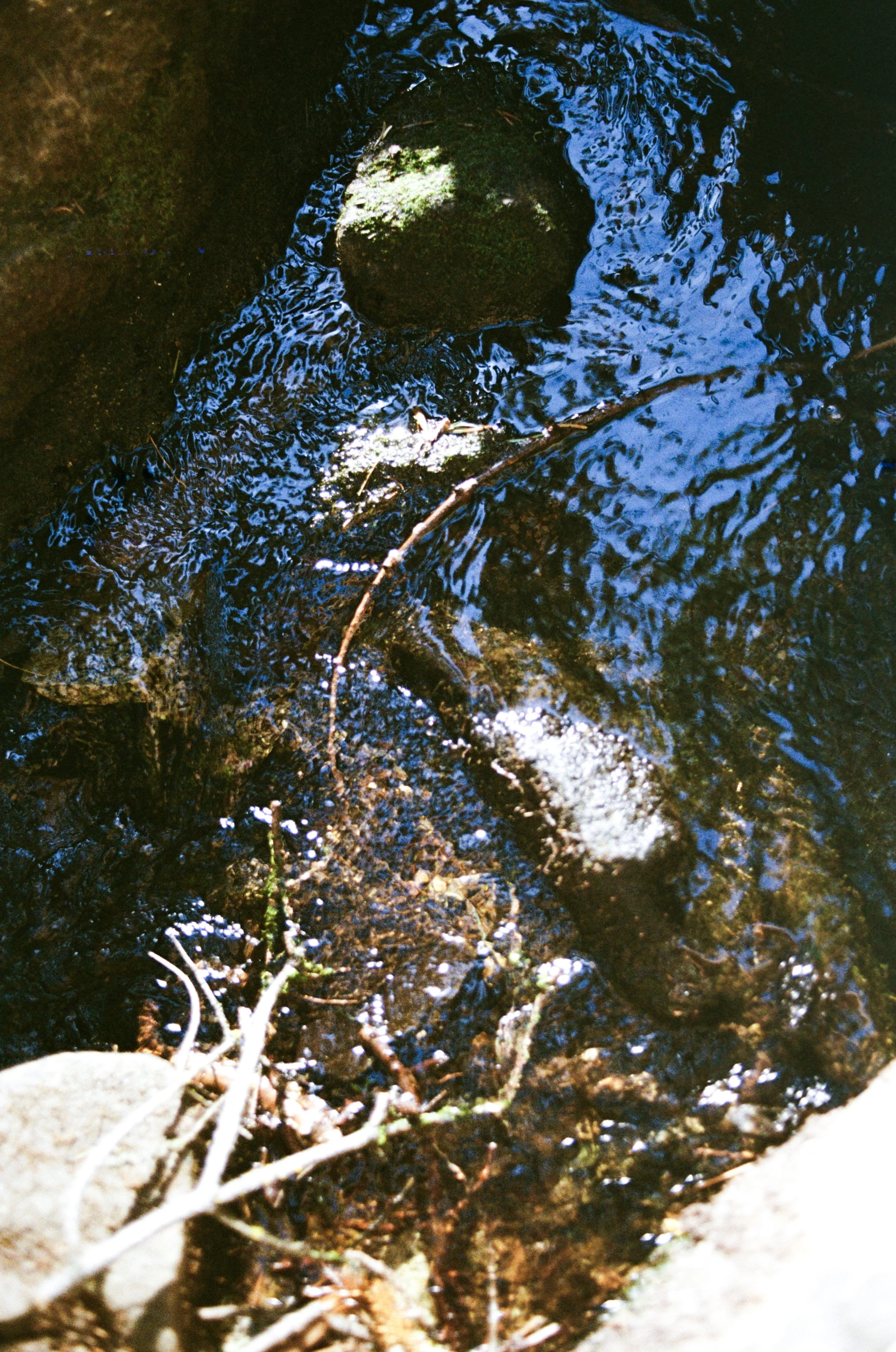 89-000021590001.jpg