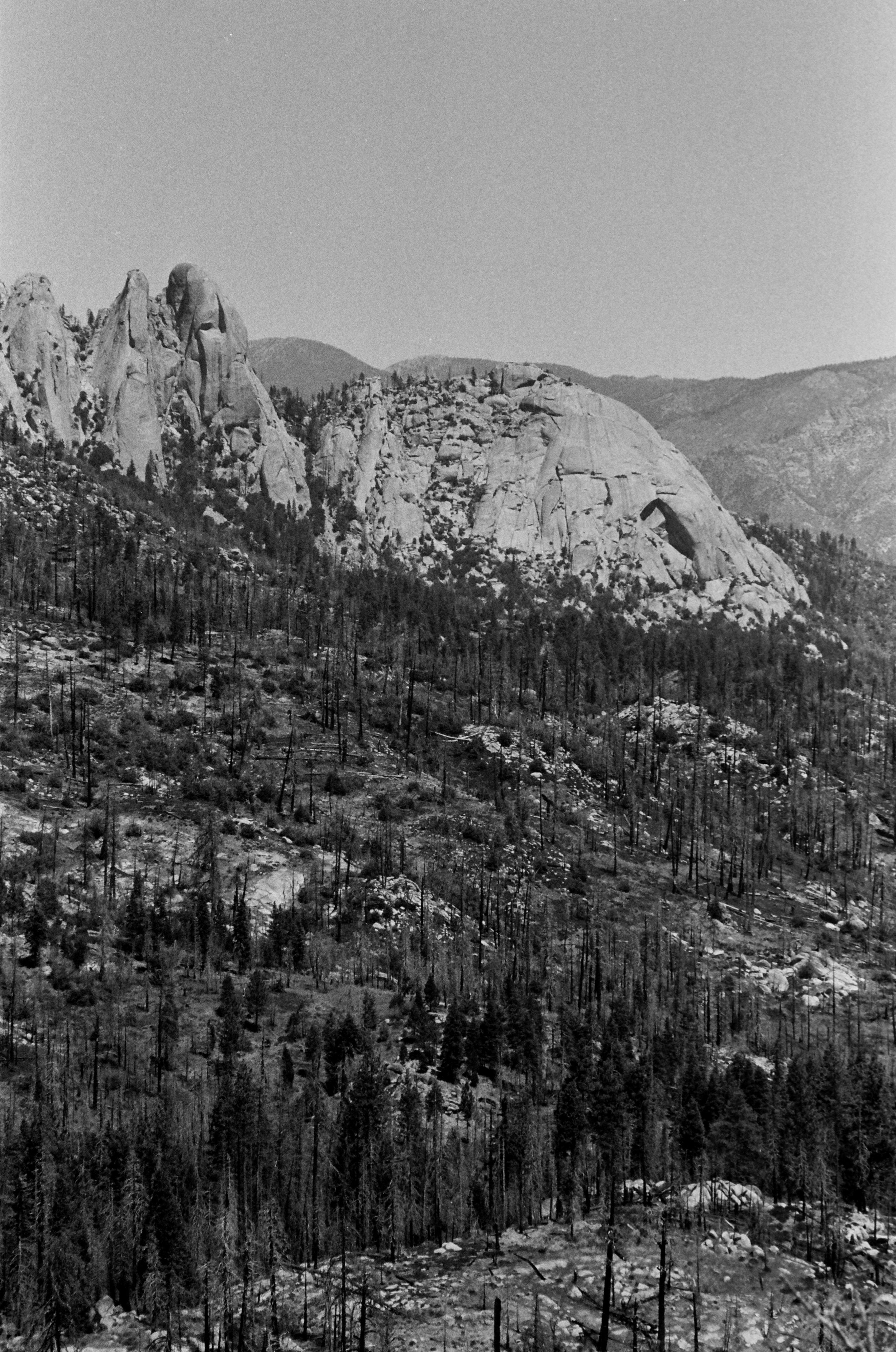109-000021610006.jpg