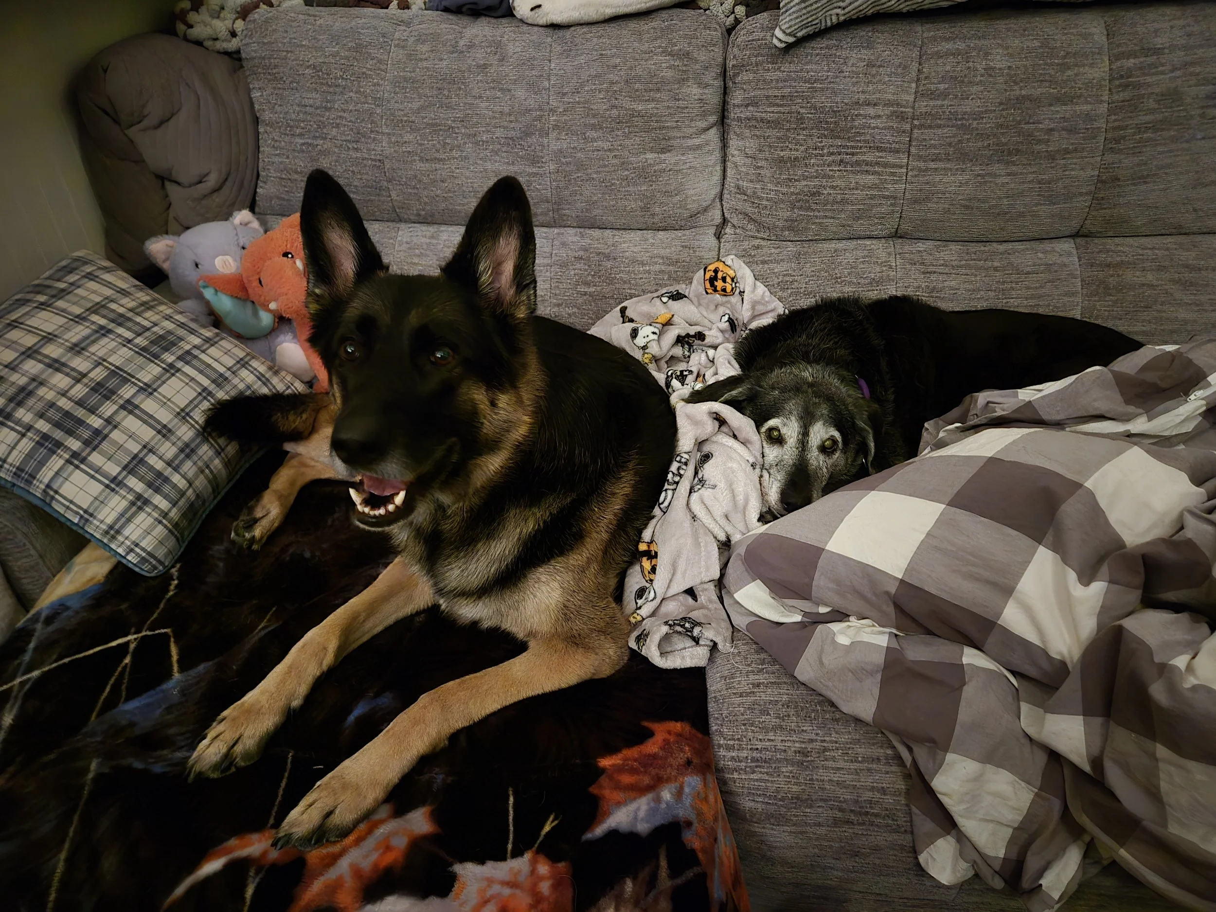 12 Hour Overnight Stay