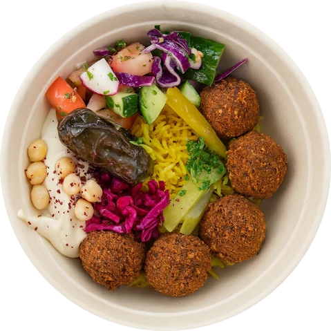 A bowl of Middle Eastern mezze with falafel, hummus topped with pine nuts, cucumber and tomato salad, pickles, and sauerkraut