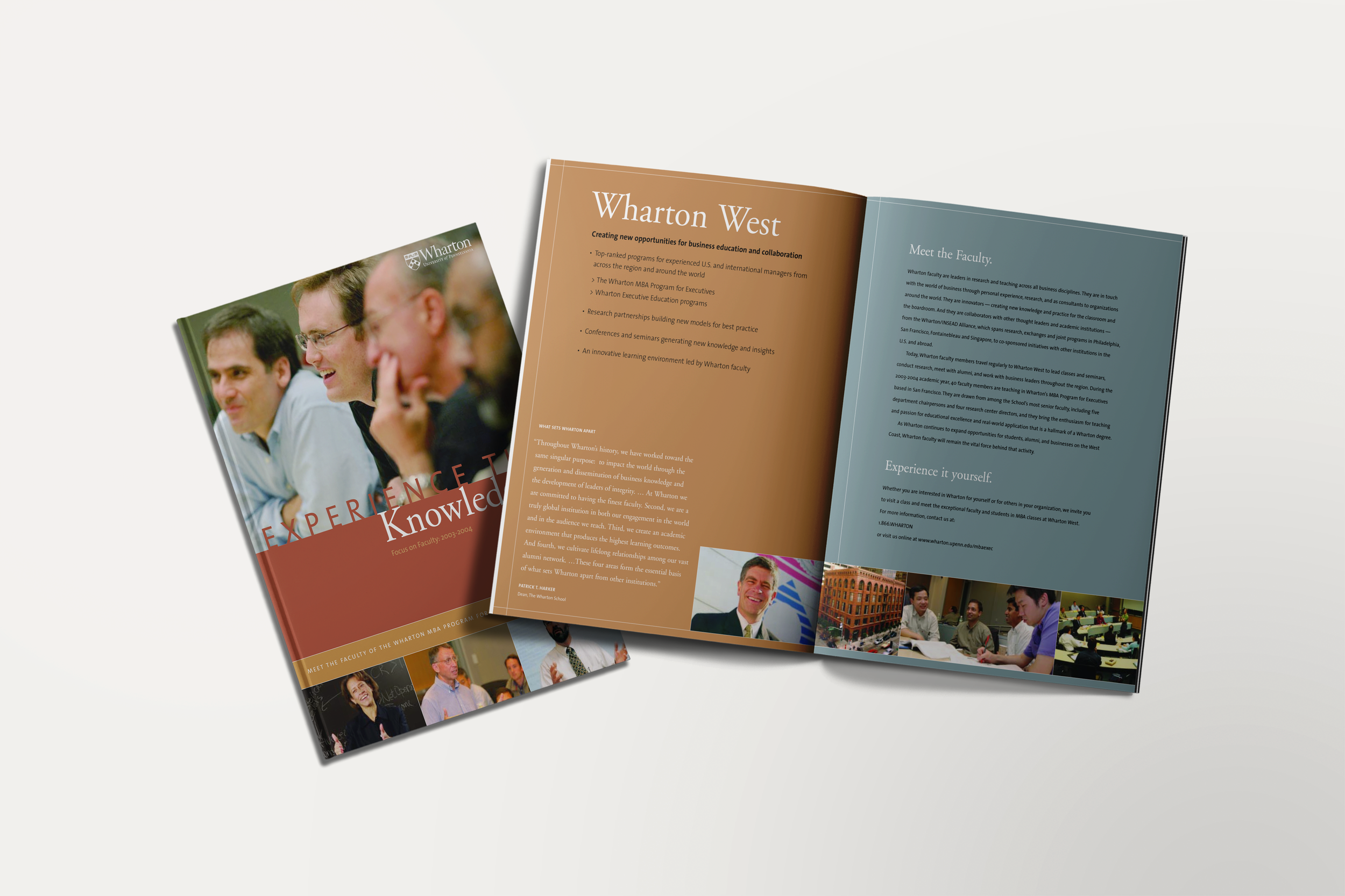 Publication Mockup.png