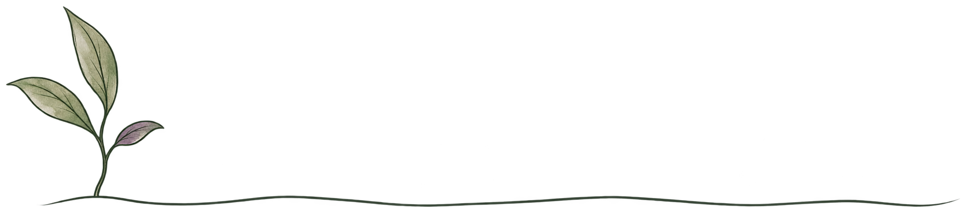 Hand-drawn leafy sprout with a curved line