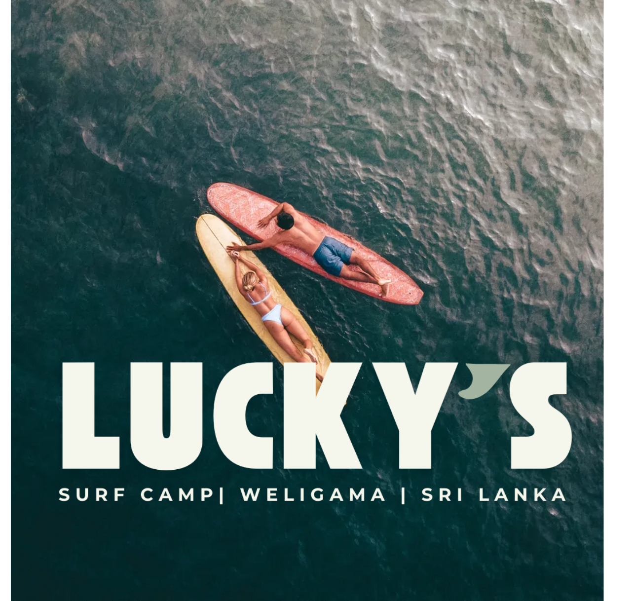 LUCKY'S SURF CAMP - SRI LANKA.


ONE MONTH OF CONTRACT SOCIAL MEDIA MANAGEMENT.


CLICK FOR FULL REPORT.