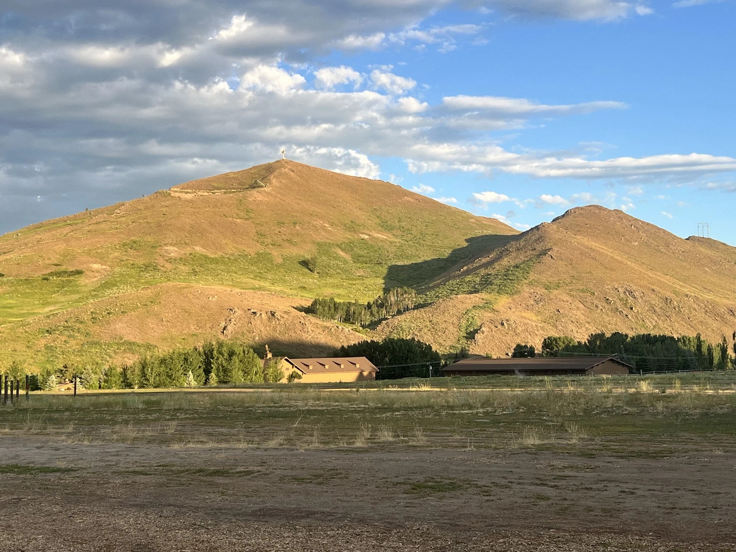Summer hillside in Idaho's Wood River Valley