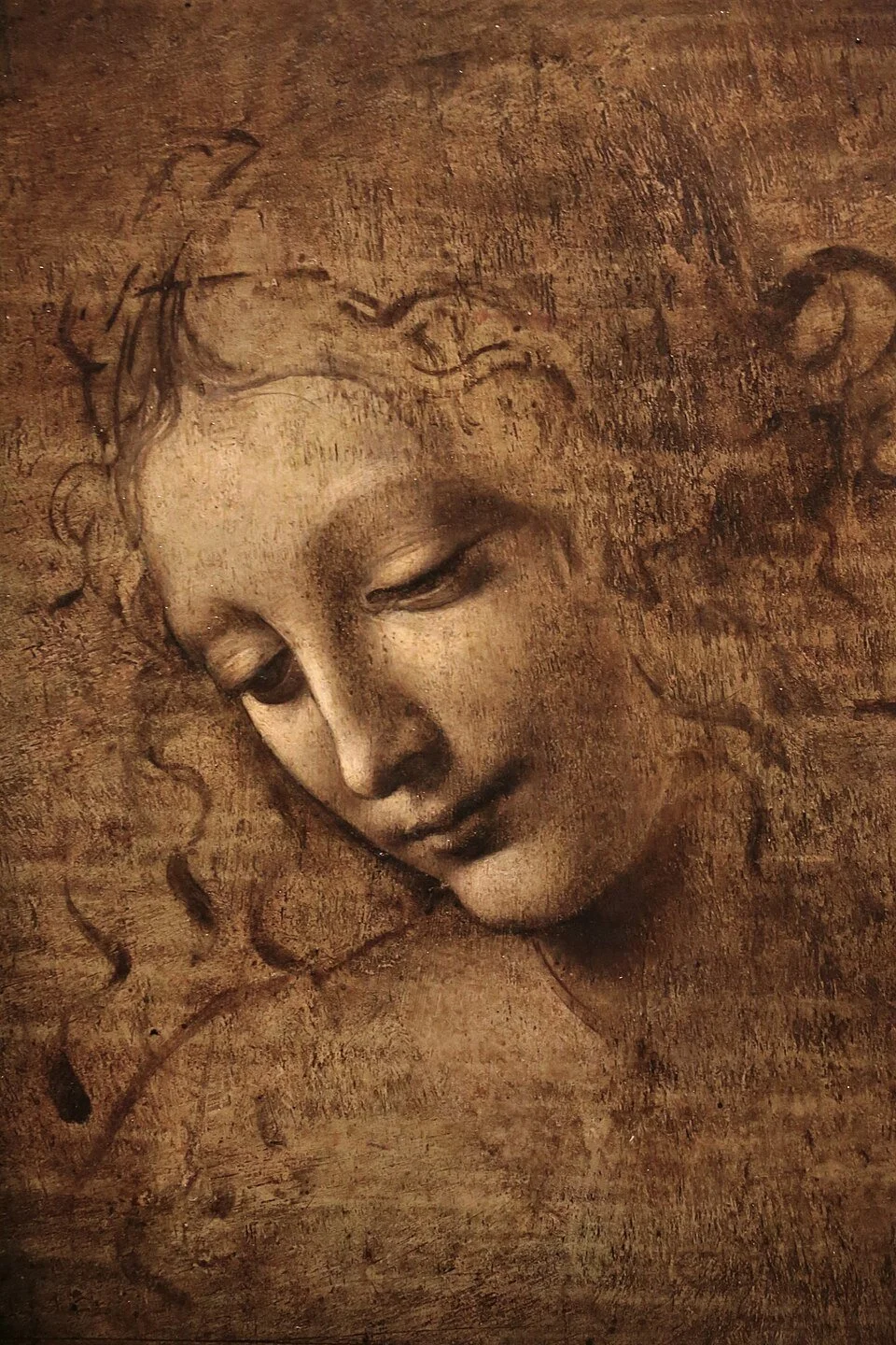 Leonardo da Vinci, La Scapiliata (Head of a Young Woman), c. 1492–1501.