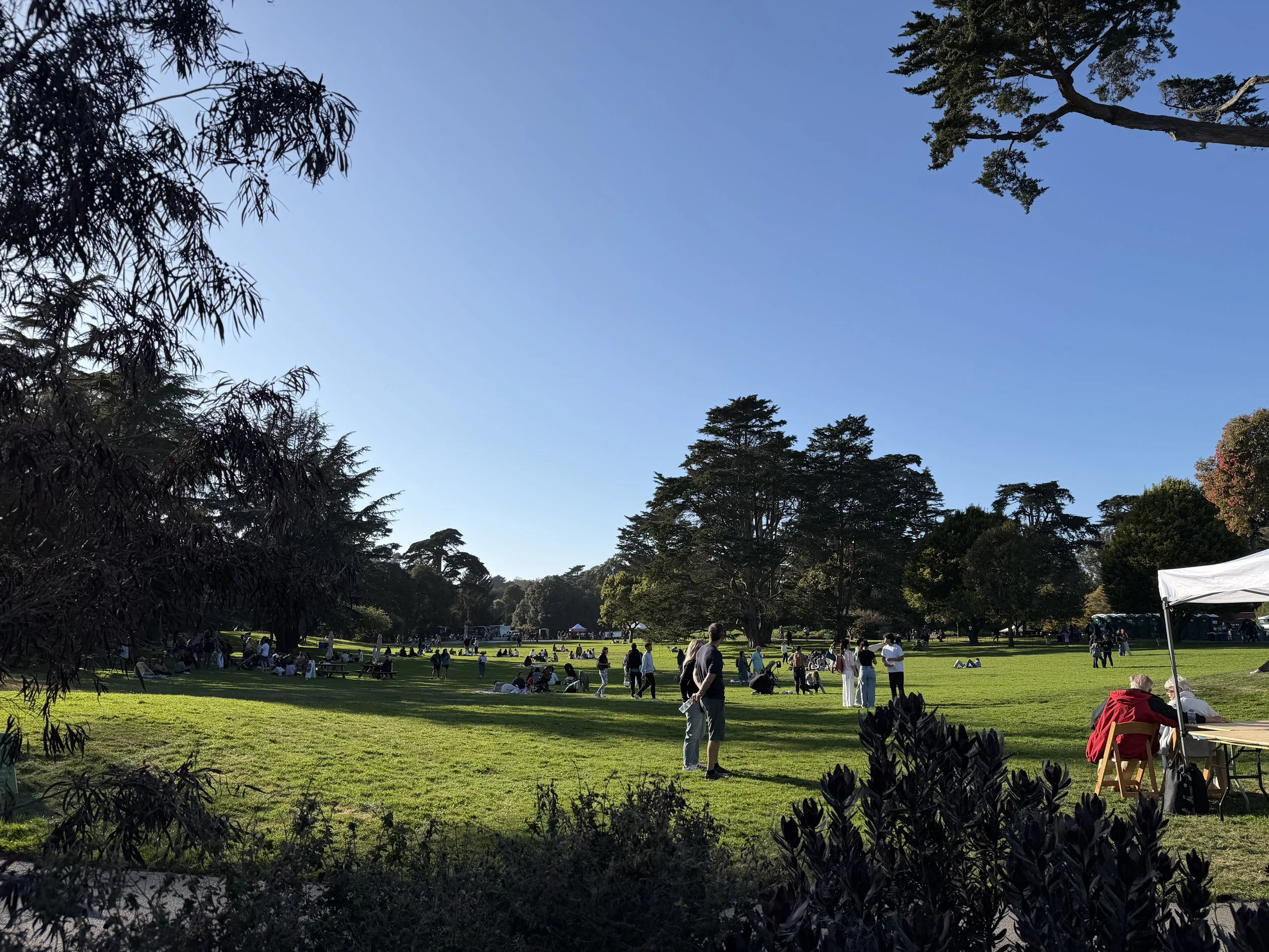 San Francisco Botanical Garden in Golden Gate Park on a sunny day.