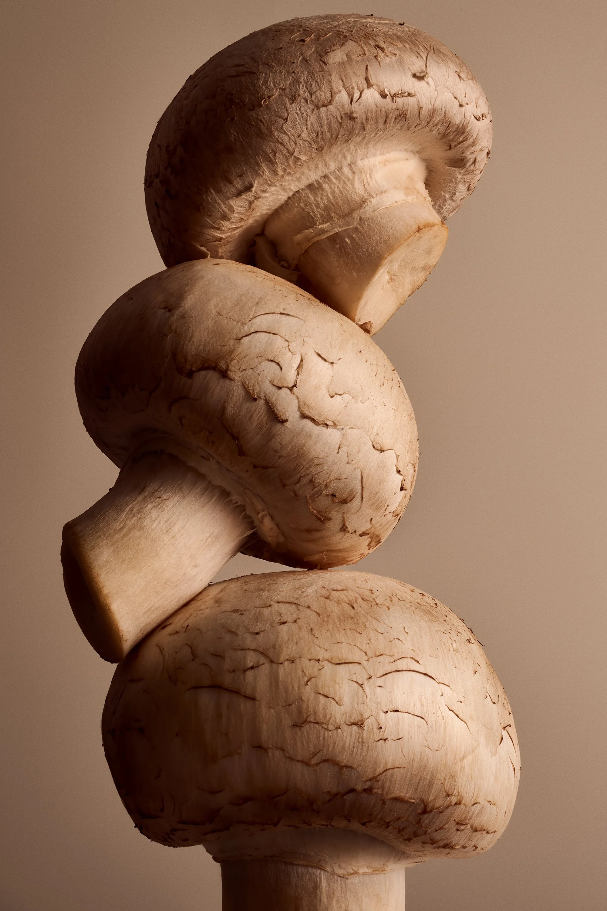 Gubi-final-web.jpg