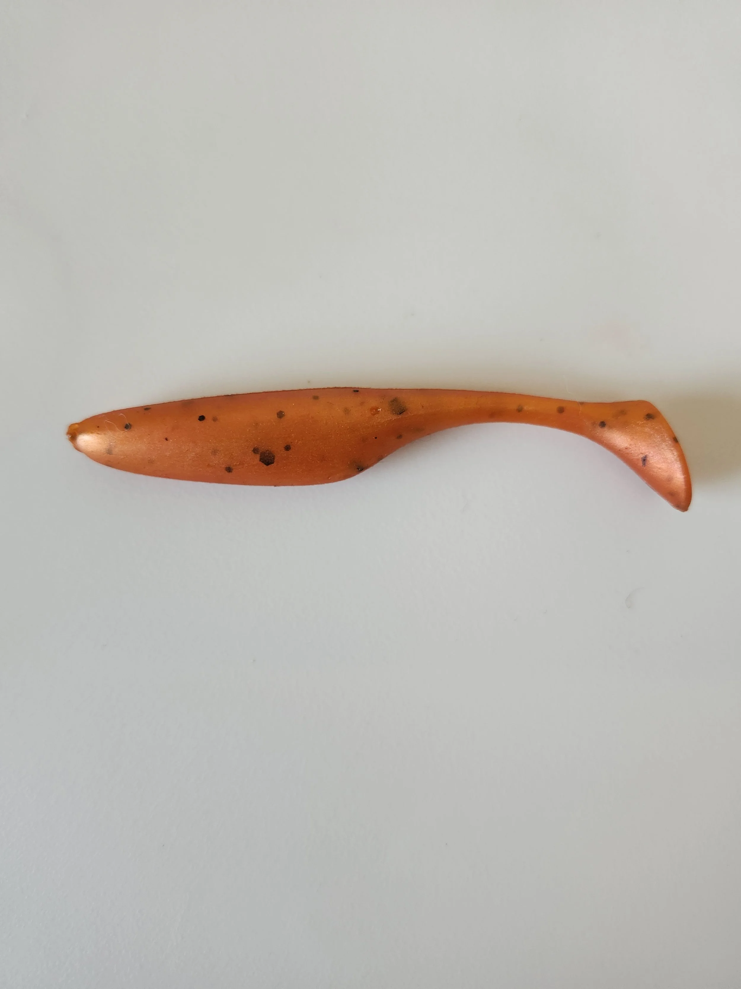 Swim Tiger Paw w.jpg
