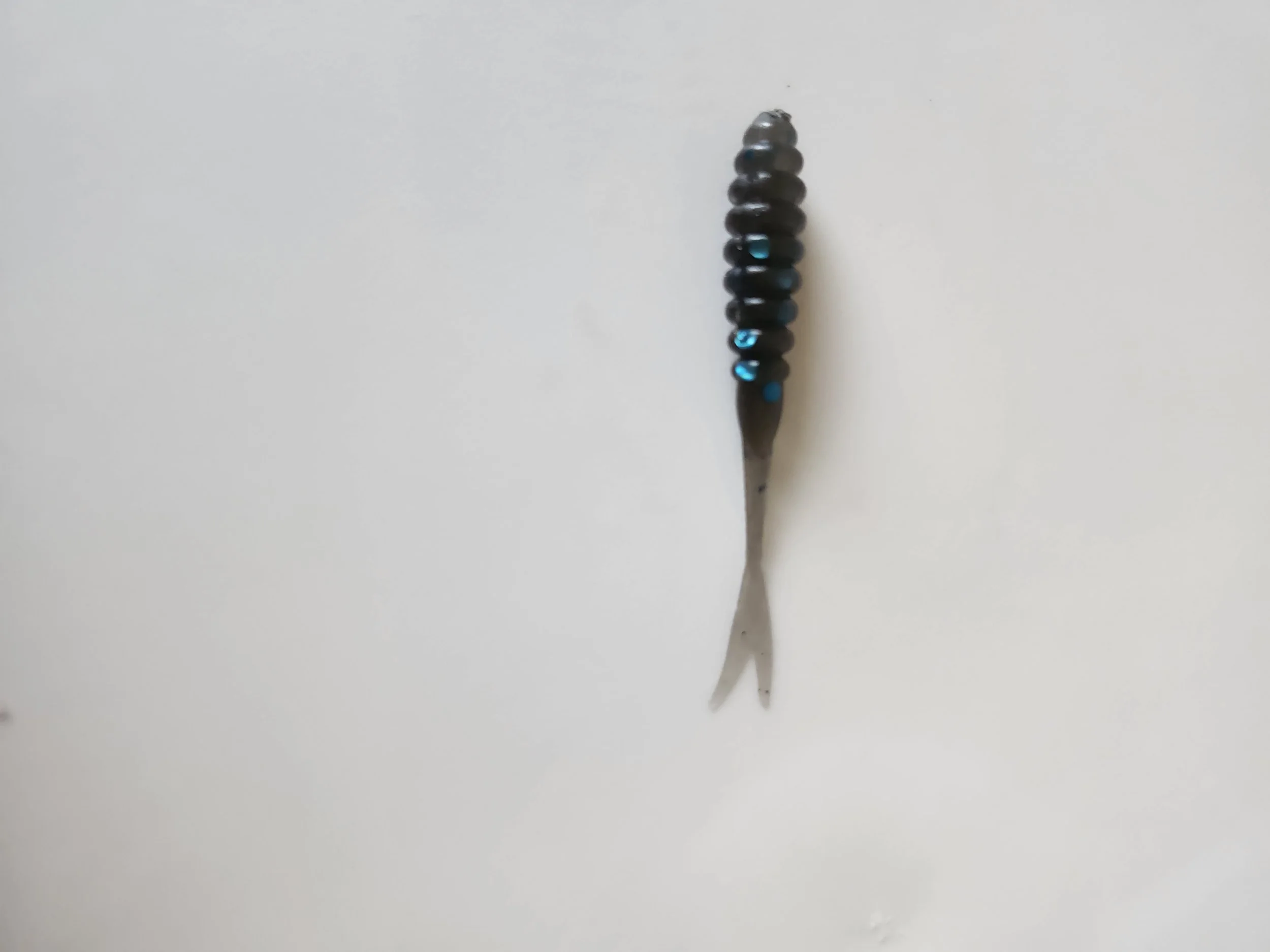 Fork Tail Bad Boss w.jpg