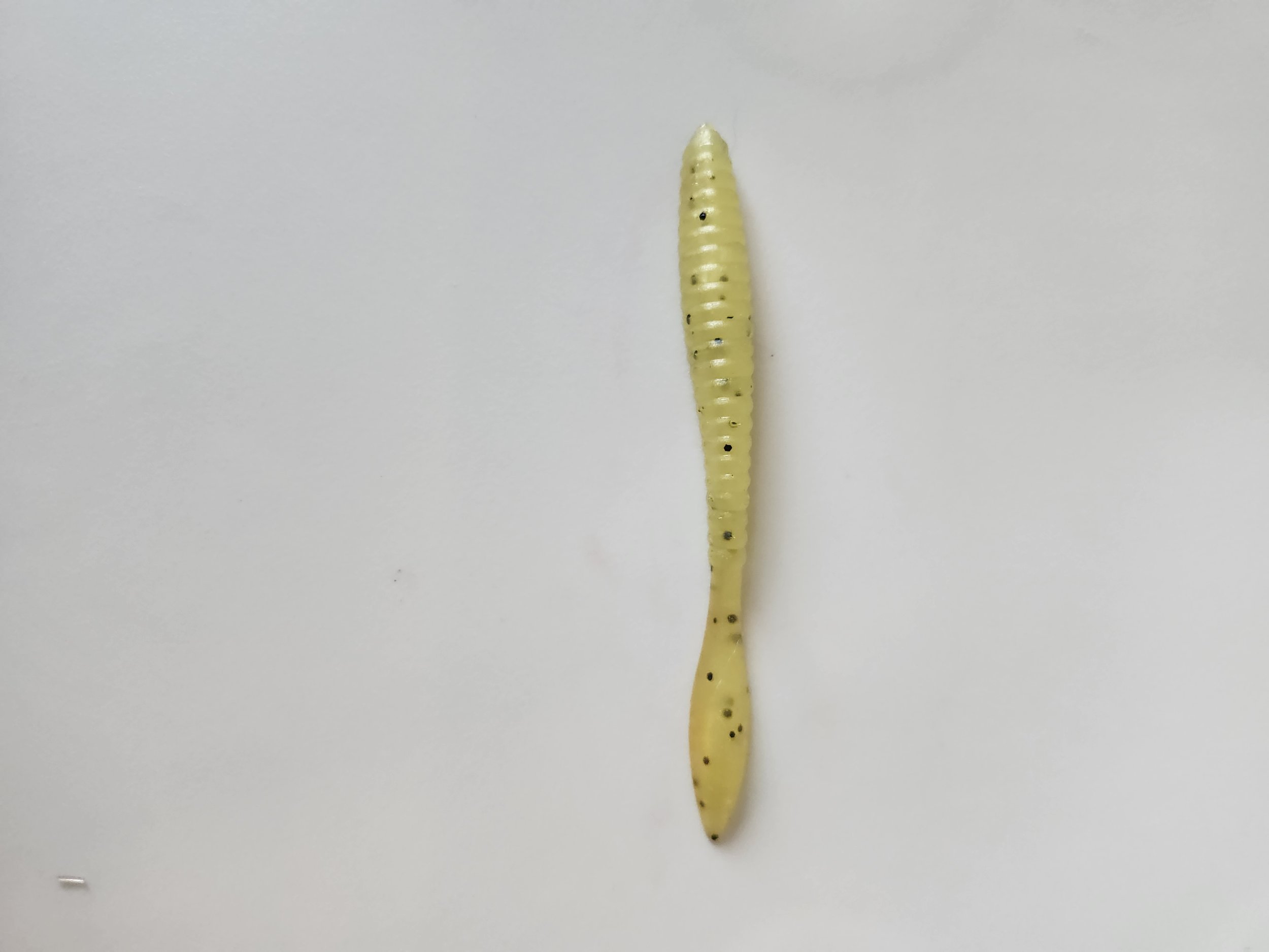 Worm Shreck w - Copy.jpg