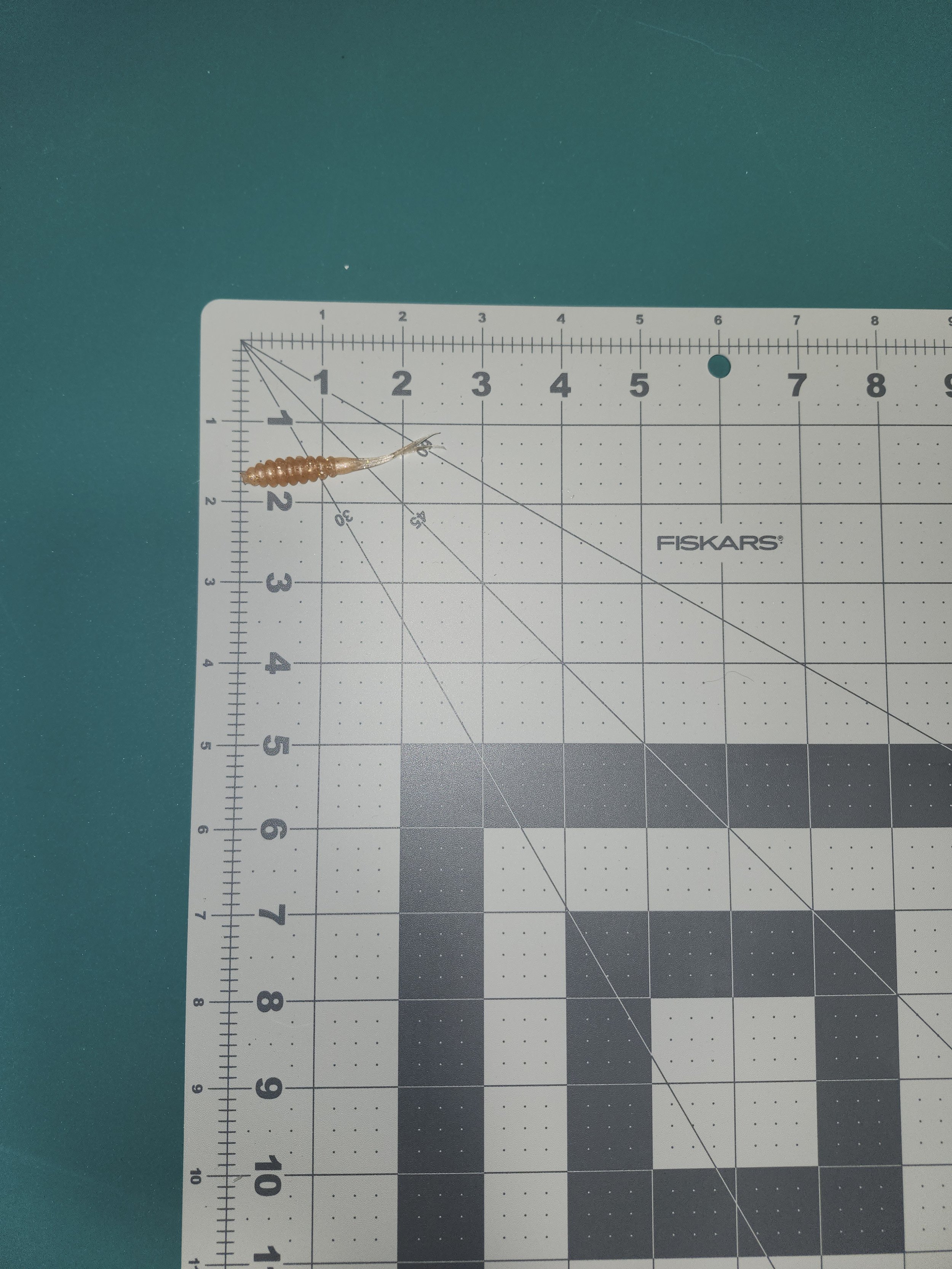 Fork Tail Grub Grid.jpg