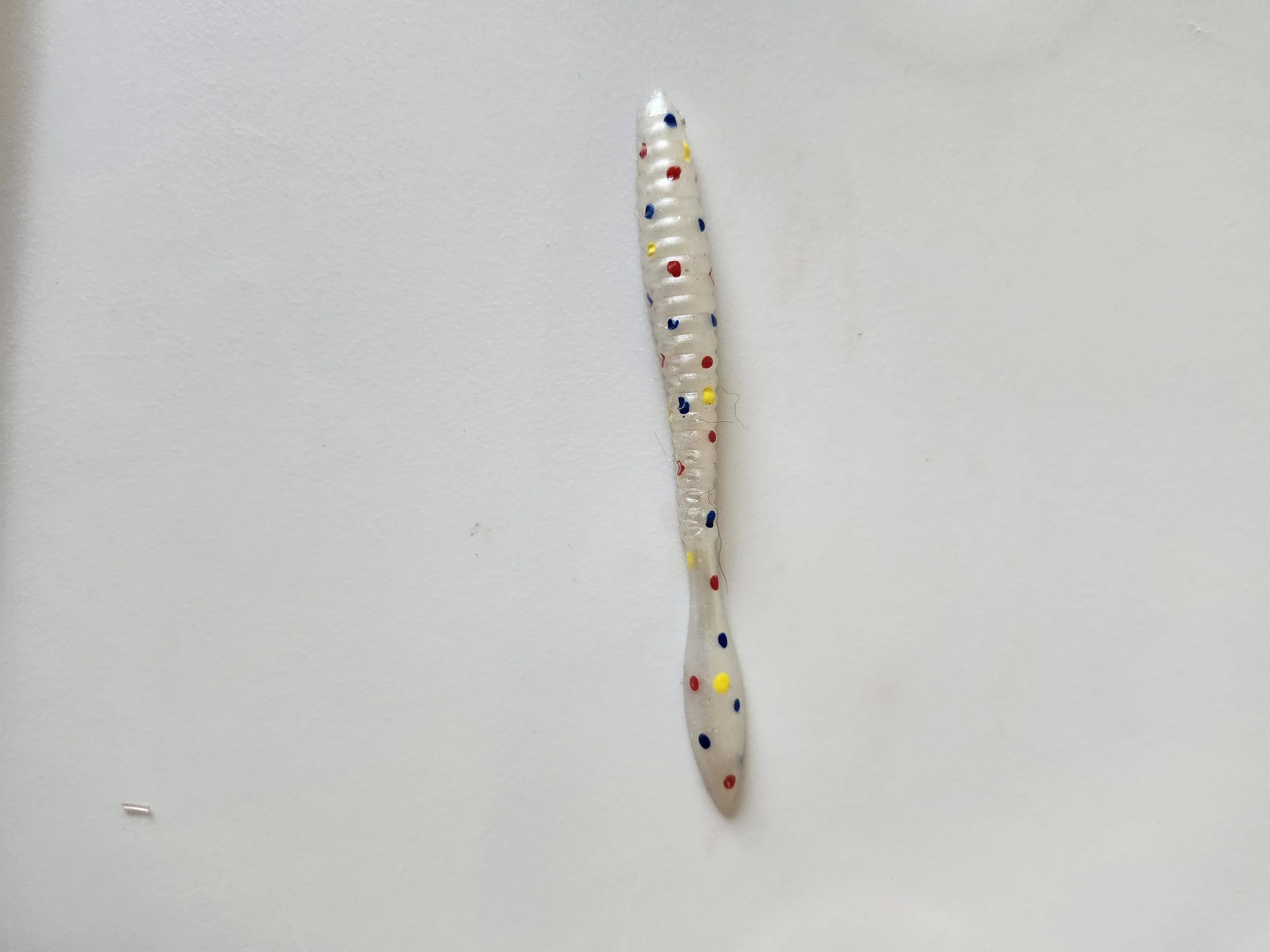Worm Wonder Chicken w.jpg