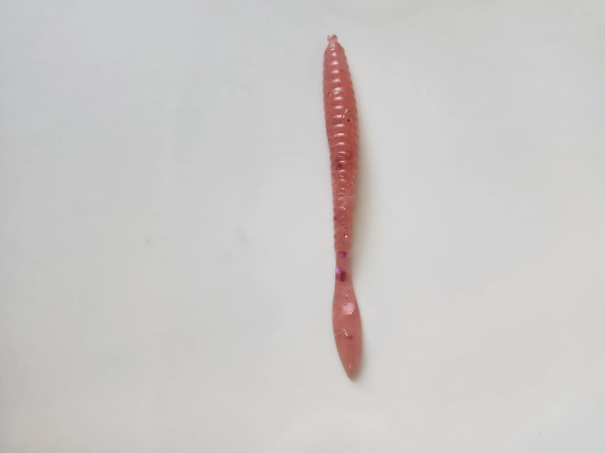 Worm Pink Punch w - Copy.jpg