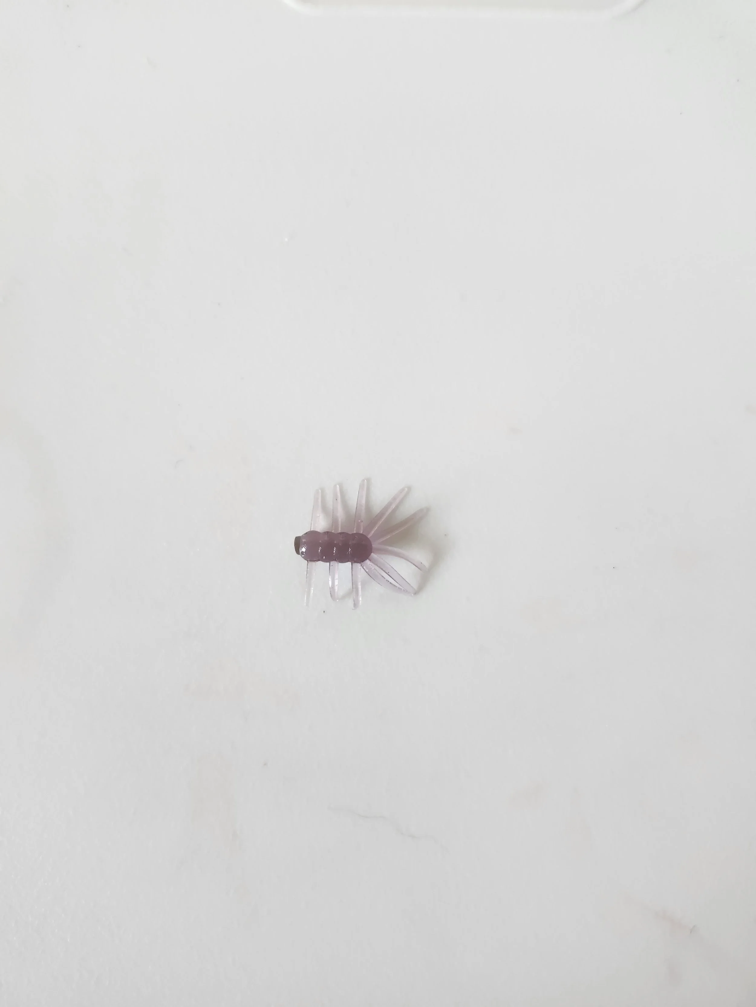 Ice Bug (Dop).jpg