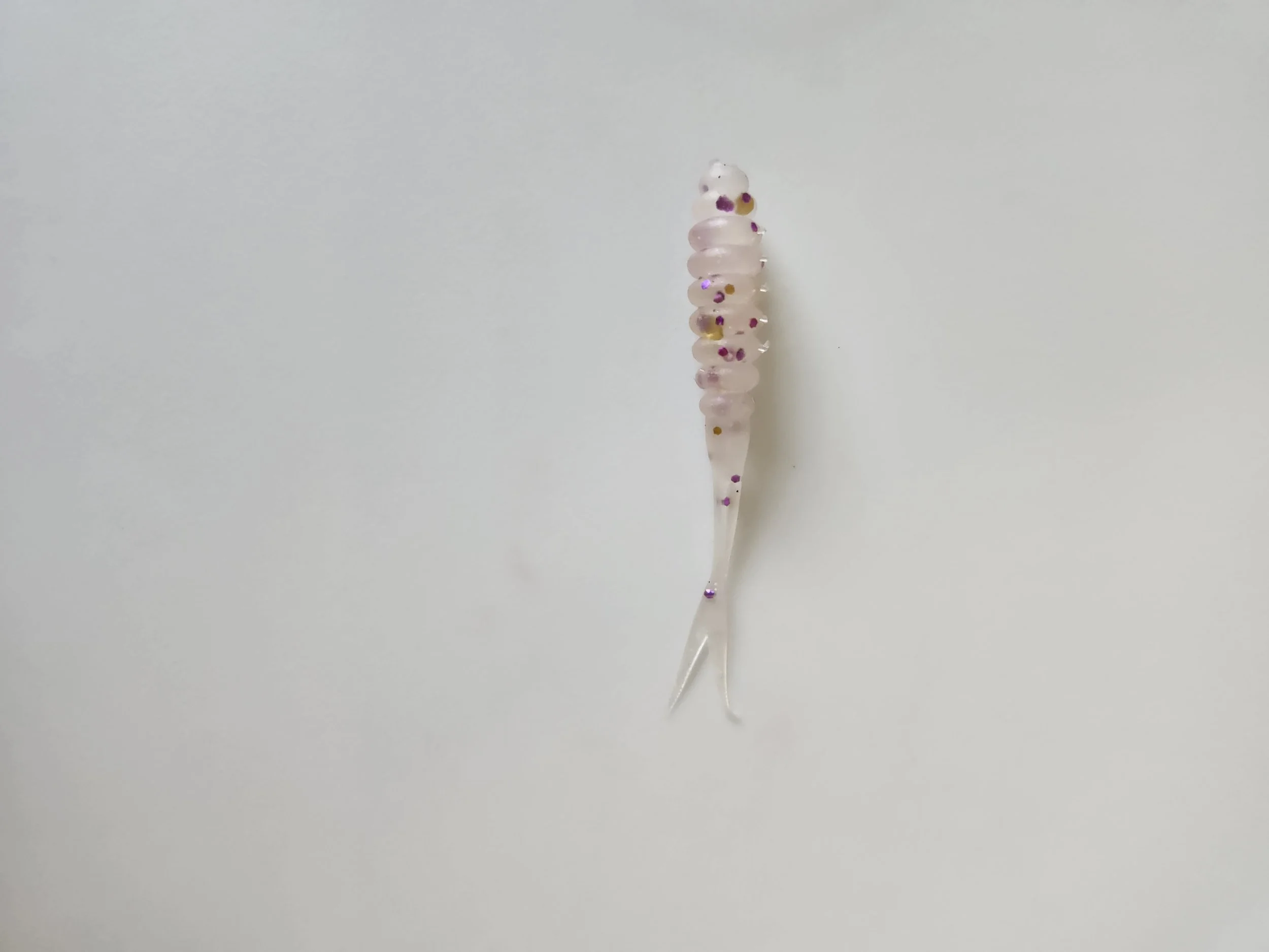 Fork Tail Brave w.jpg