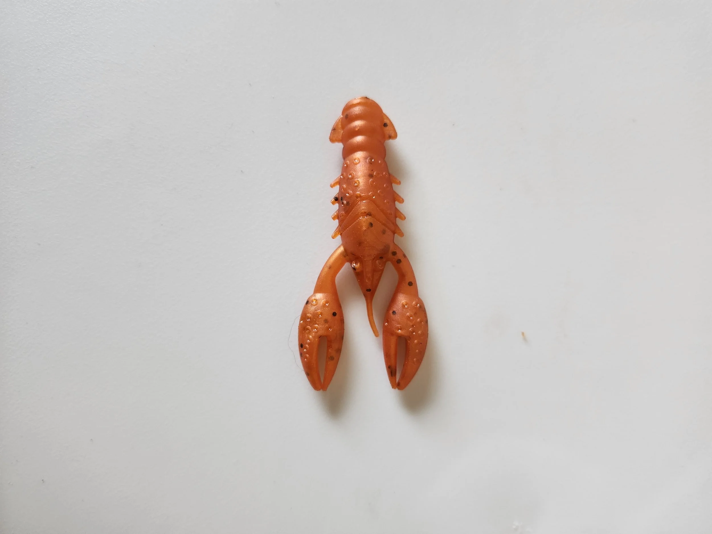 Craw Tiger Paw w.jpg