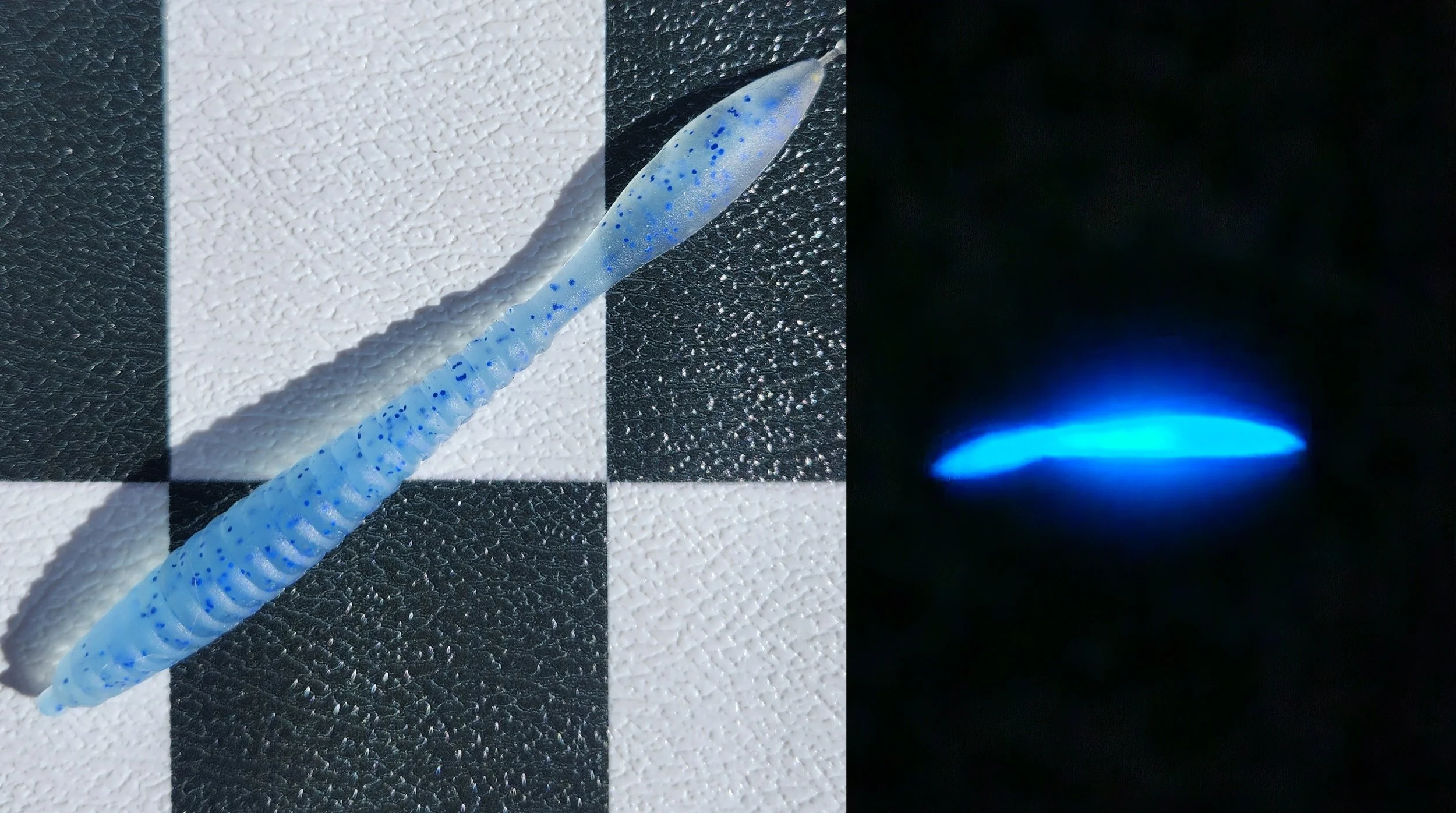Blue Ice worm both.jpg