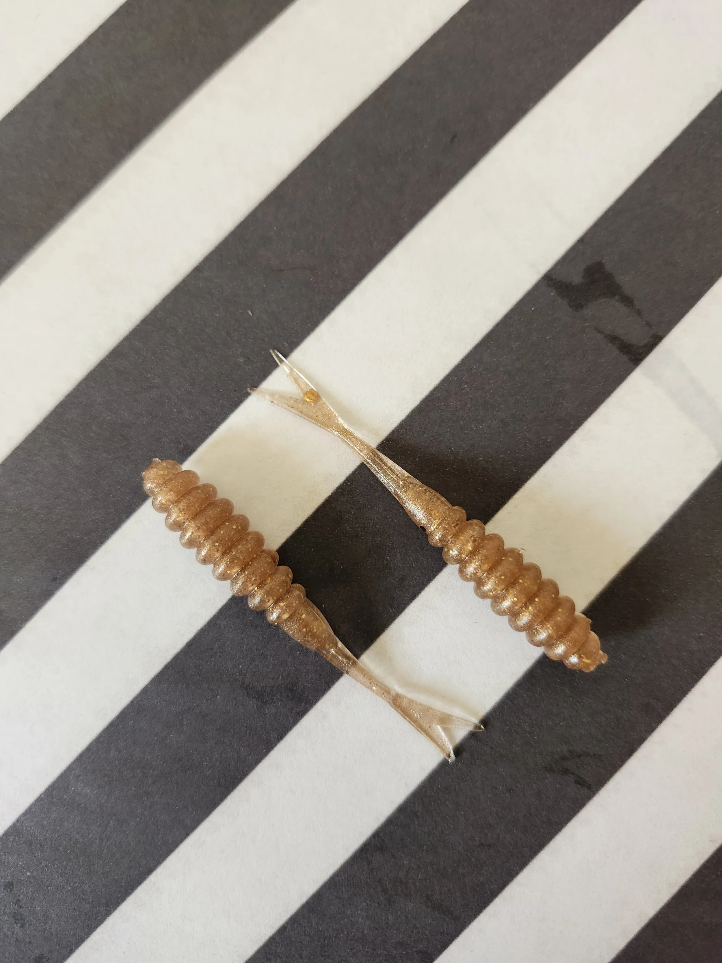 Fork Tail