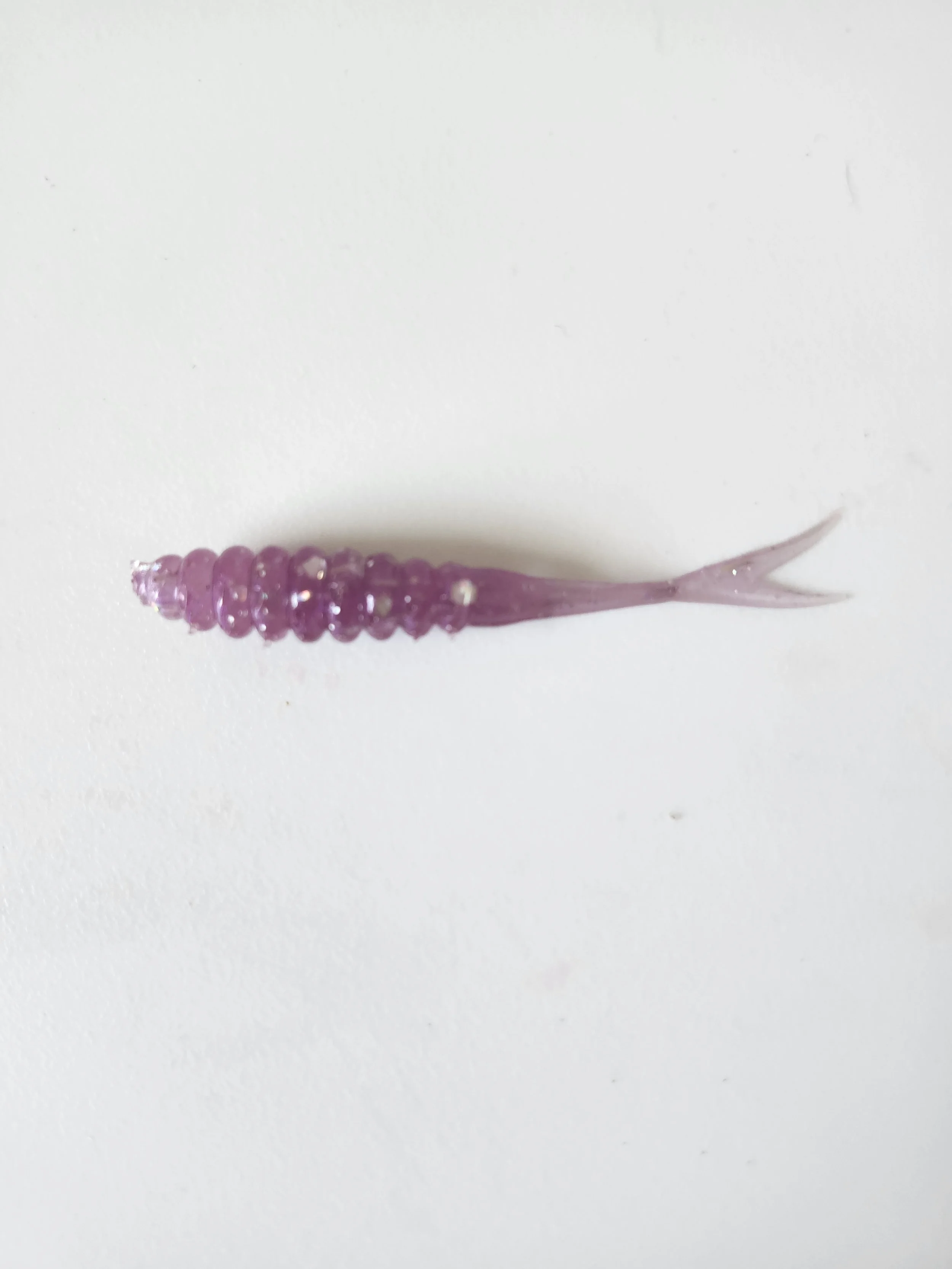 Fork Tail Purple Rain w.jpg