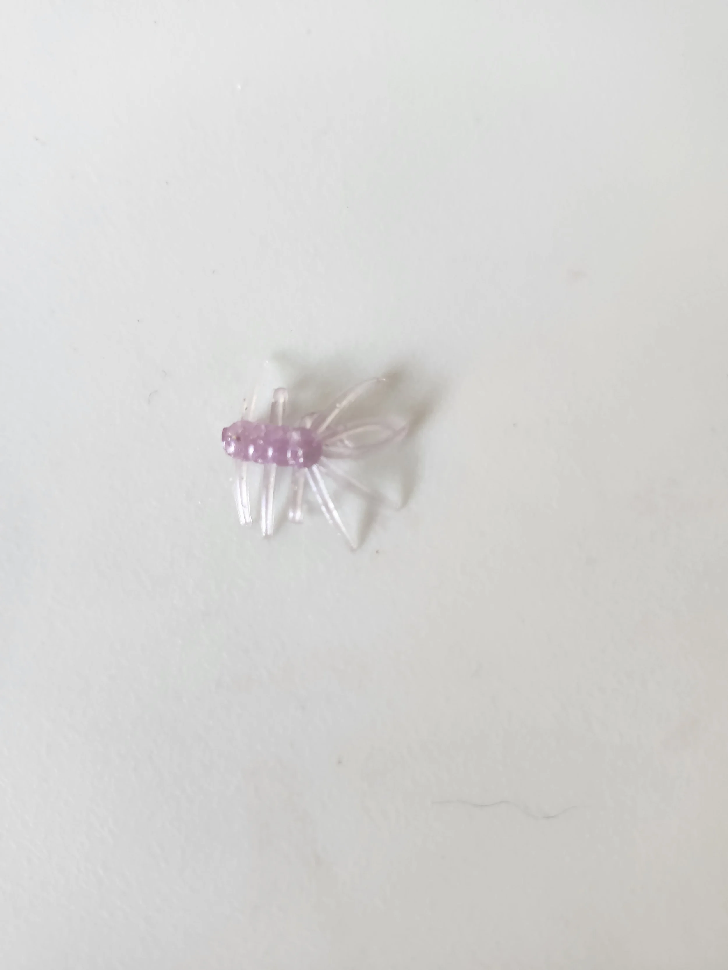 Ice Bug Purple Rain.jpg