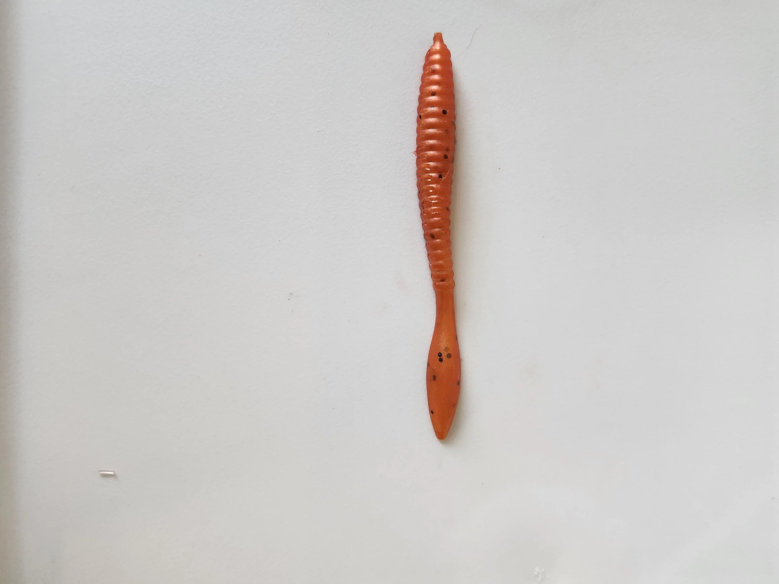 Worm Tiger Paw w.jpg