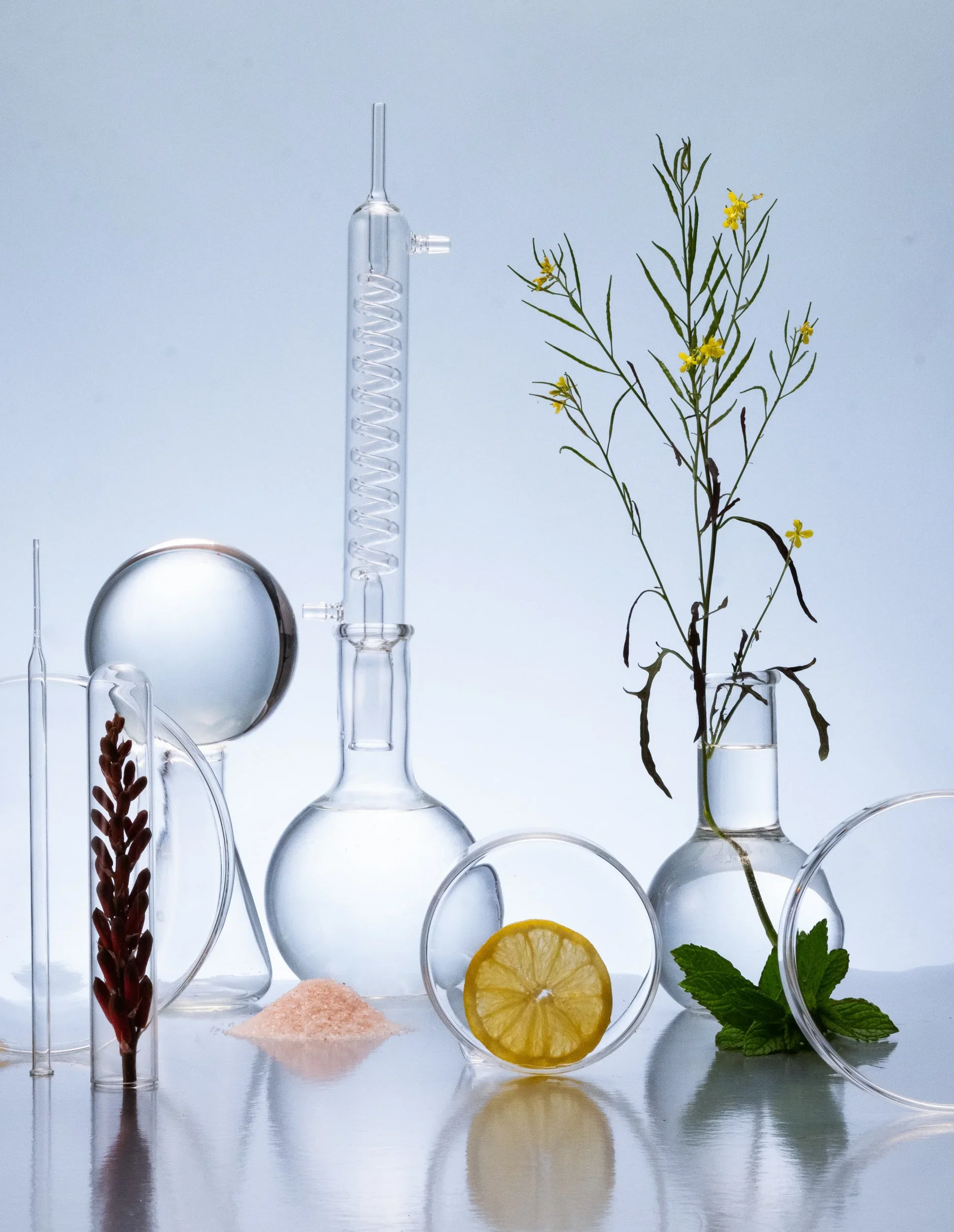 240322still_life013.webp