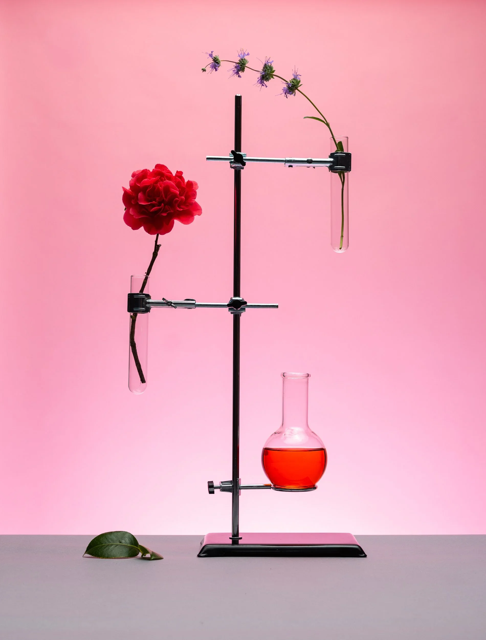 240321still_life010.webp