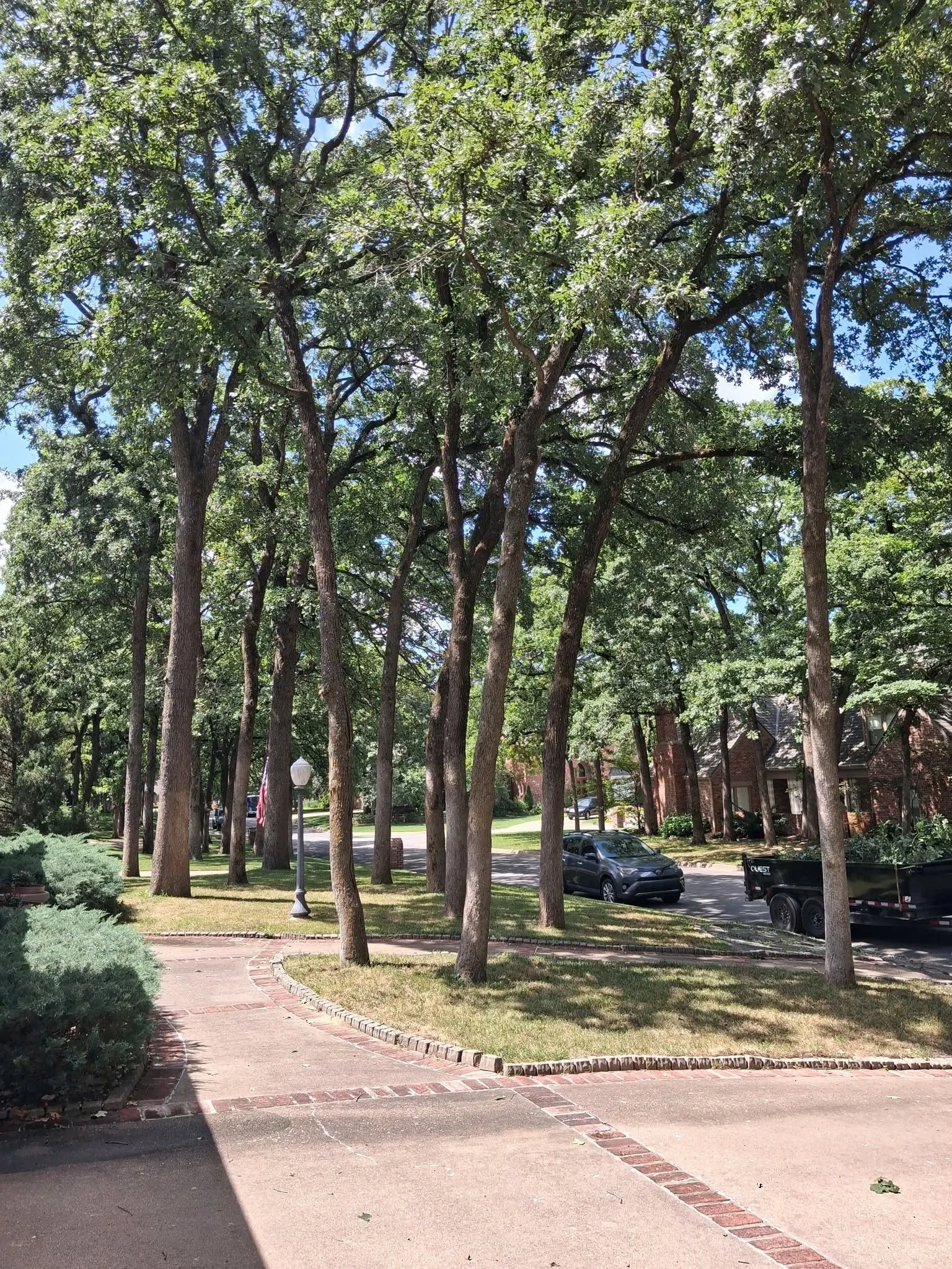 A Tulsa, Oklahoma midtown neighborhood street with tall trees lining the sidewalk. There are houses with brick facades in the background, and a lamp post with a white globe light is visible near the curb.