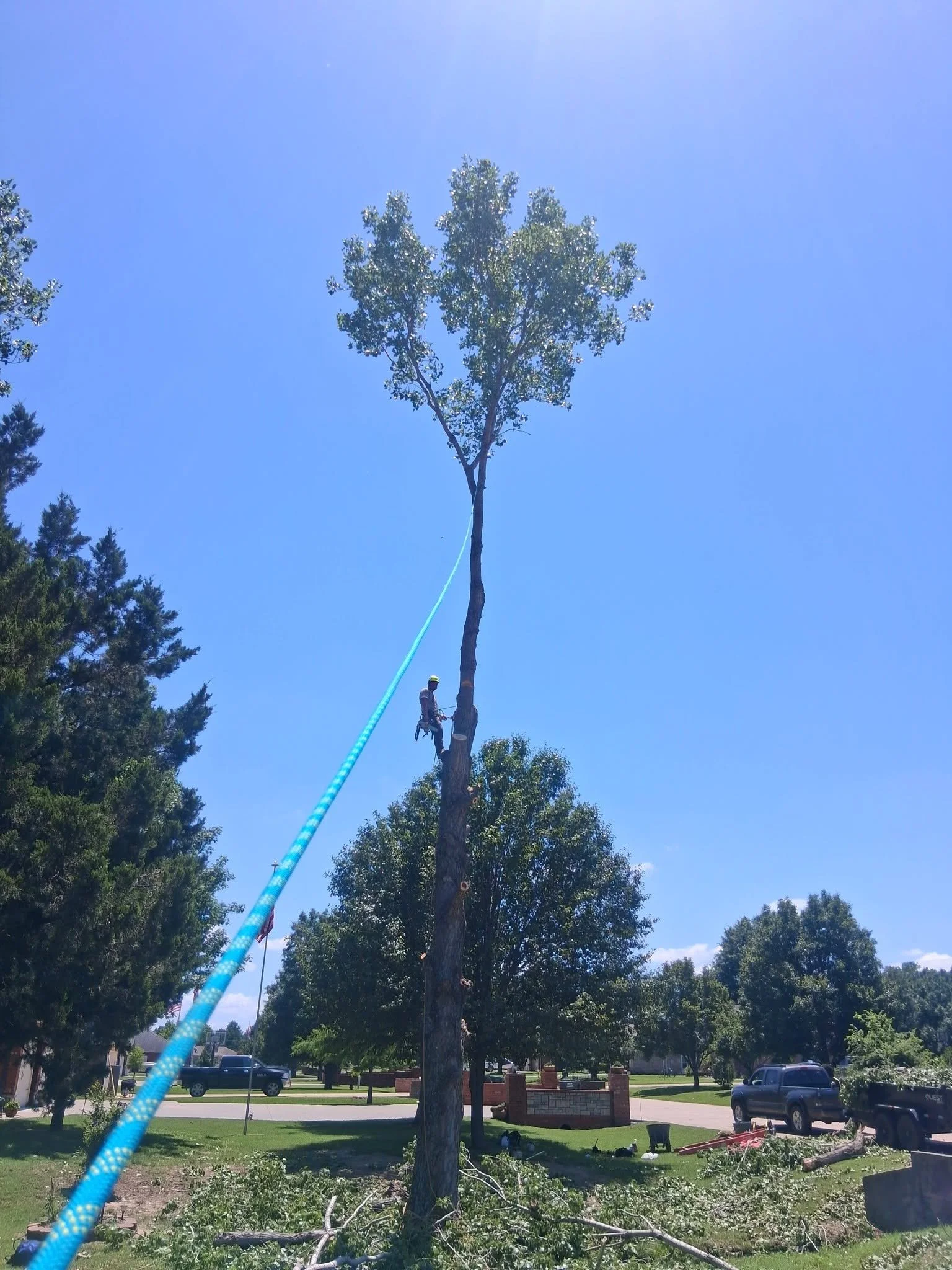 A worker in a safety helmet is trimming or removing a tall tree in a Tulsa, Oklahoma residential neighborhood on a sunny day.