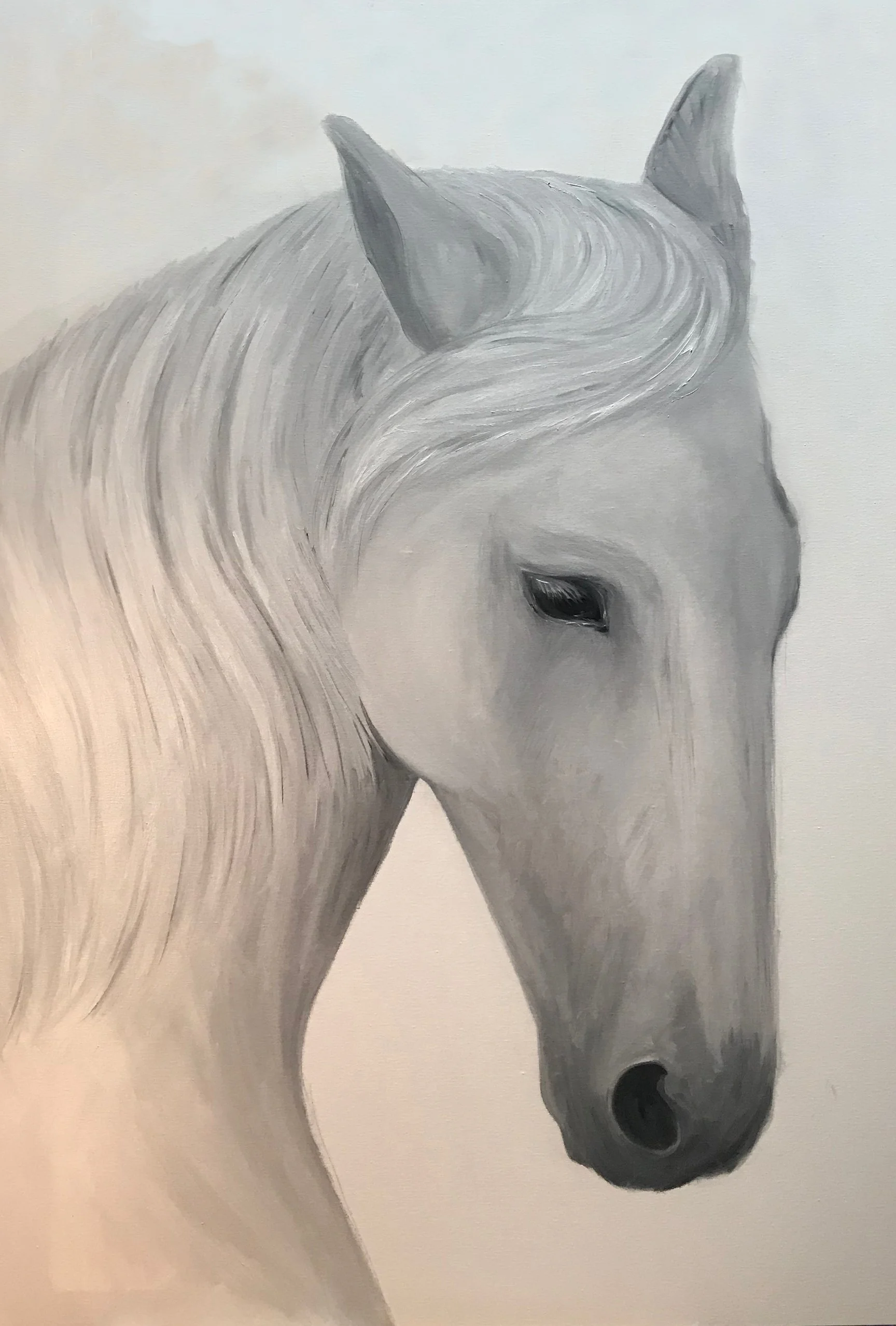 40 x 40 in.  
oil on canvas  
Available
