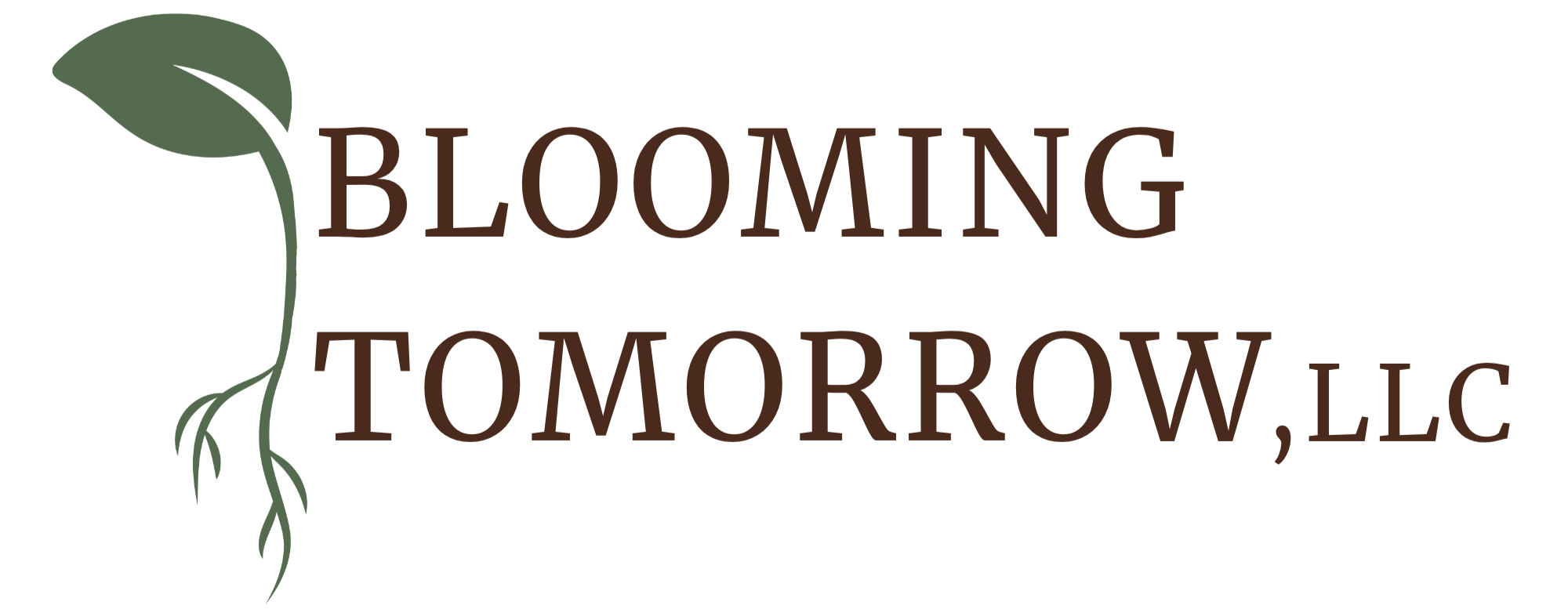 Logo for Blooming Tomorrow LLC with a green sprout and brown text.