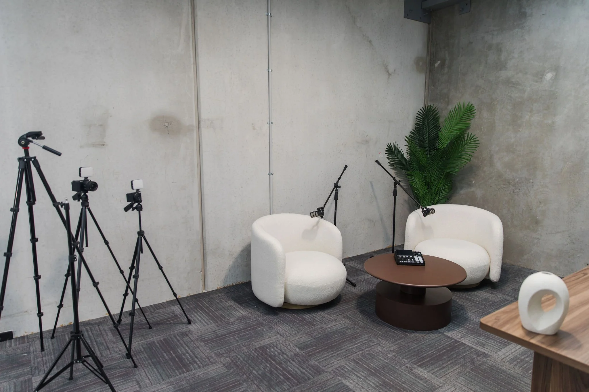 Video interview room with three white chairs, a small circular table with a sound mixer, and multiple cameras on tripods, decorated with a potted green plant and a textured concrete wall.