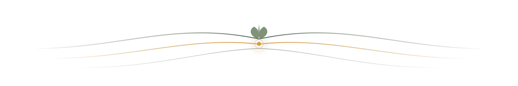 Diagram showing stages of a stellar explosion, including white dwarf, nuclear fusion, and supernova explosion.