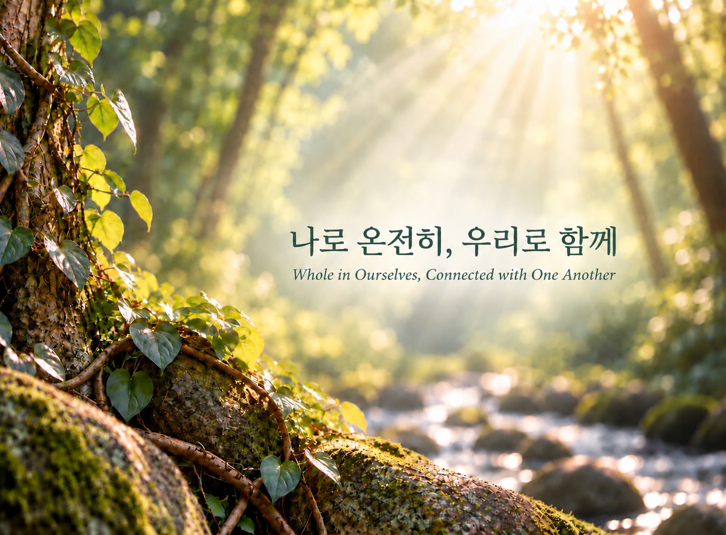 A sunlit forest scene with green leaves and rocks, featuring Korean and English text that reads 'Whole in Ourselves, Connected with One Another'.