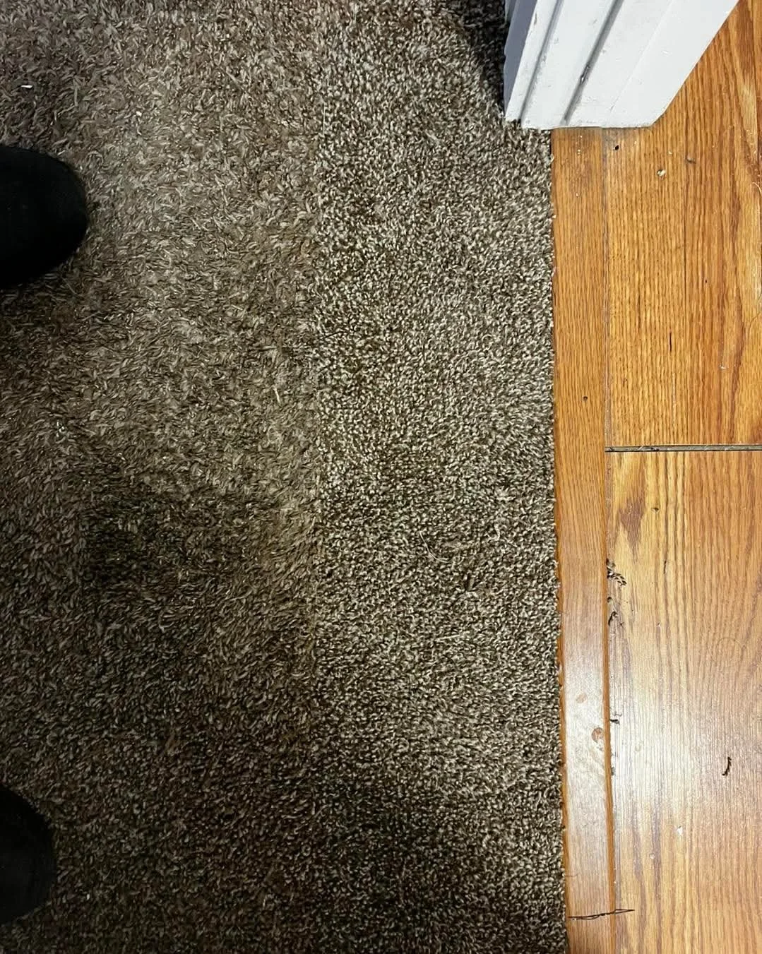 Carpet Repair