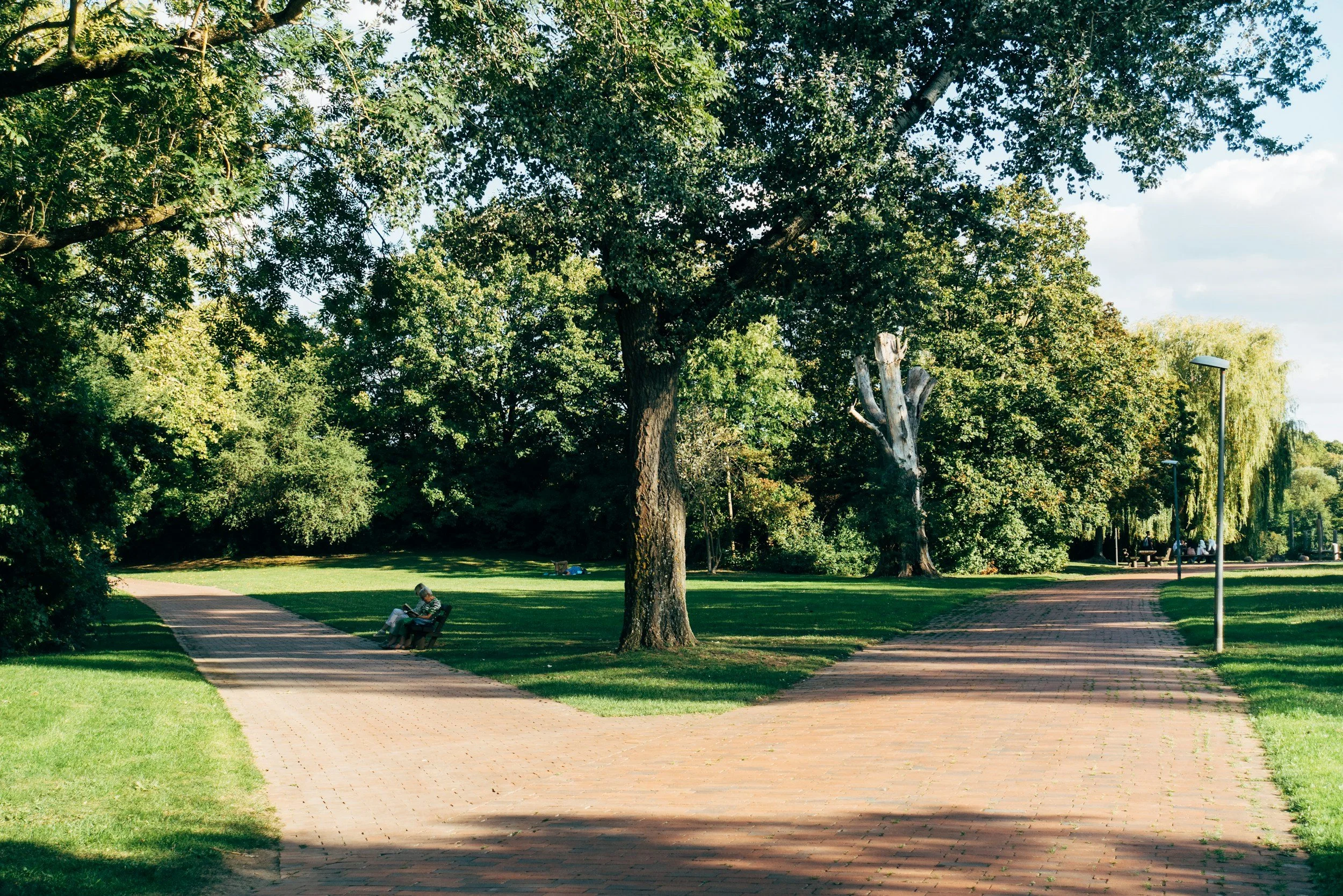 A park with trees, a walking path, and a person sitting on a bench reading a book, enjoying a sunny day.