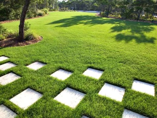 A landscaped yard with bright green grass, a row of stepping stones, and trees casting shadows.
