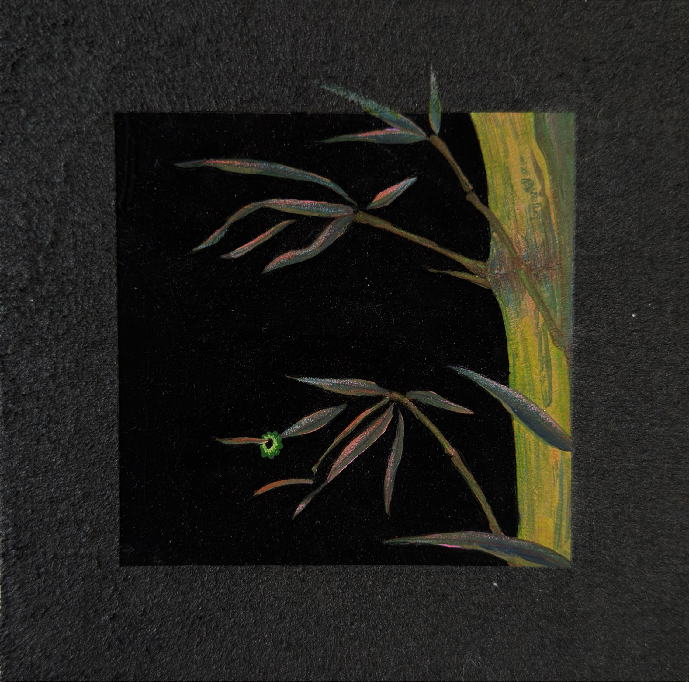 Close-up of a colorful ribbon with a black background, surrounded by black textured material.
