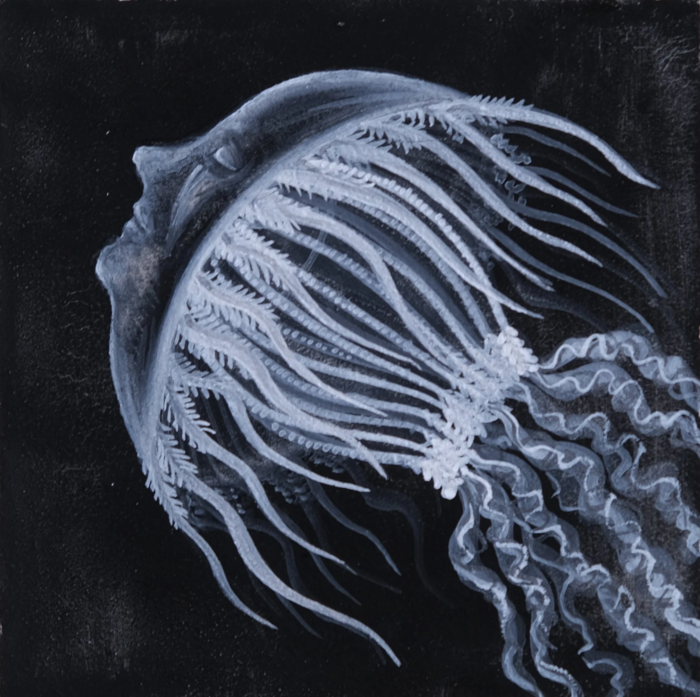 jellyfish with human face