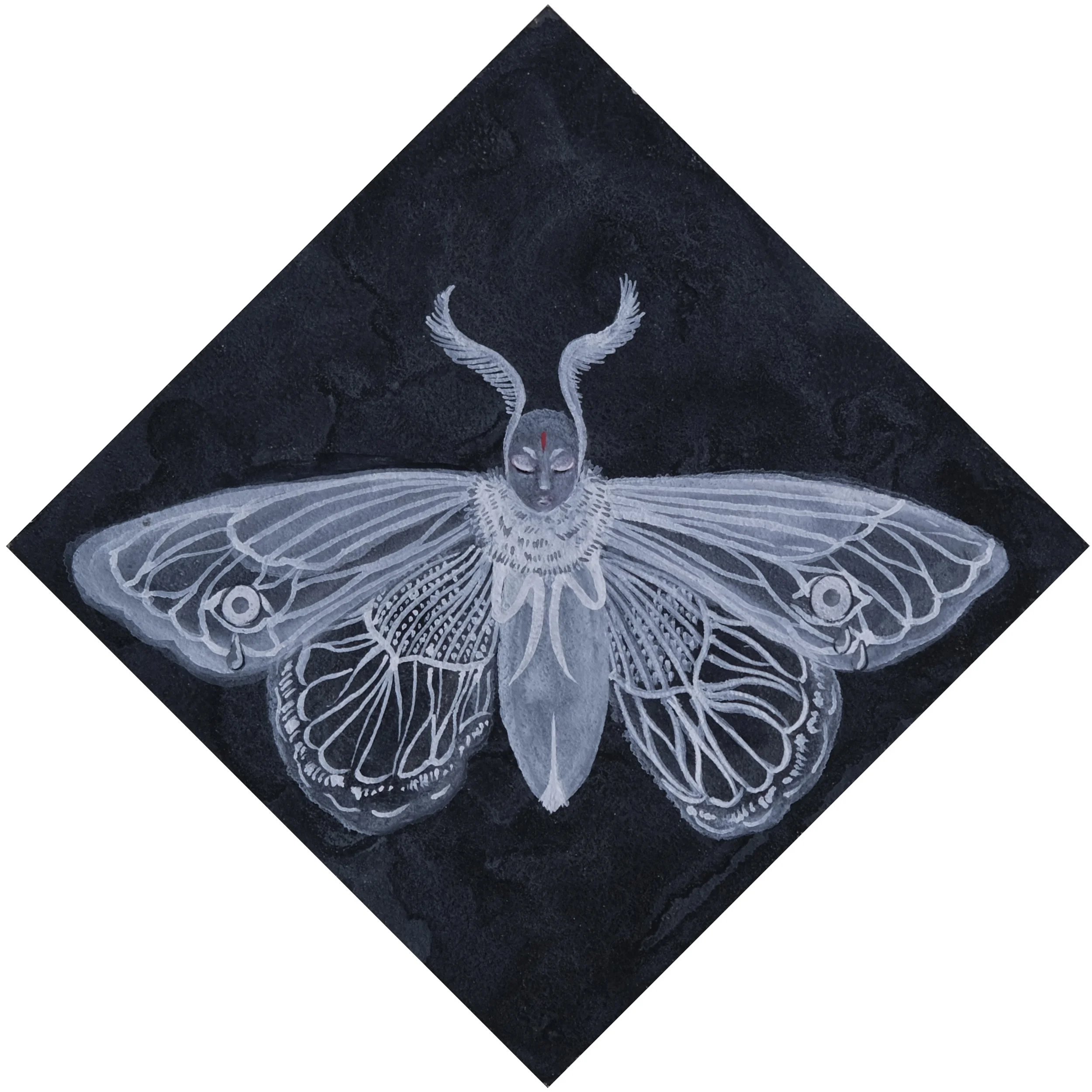 A moth with human face