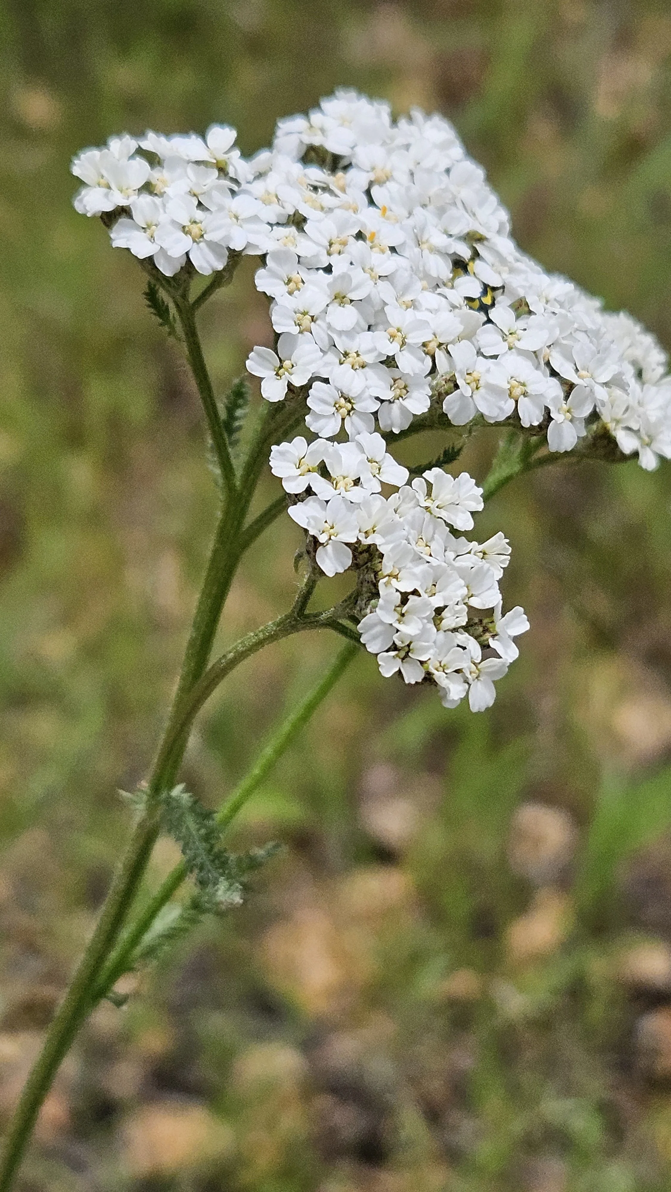 20250426_142030.jpg