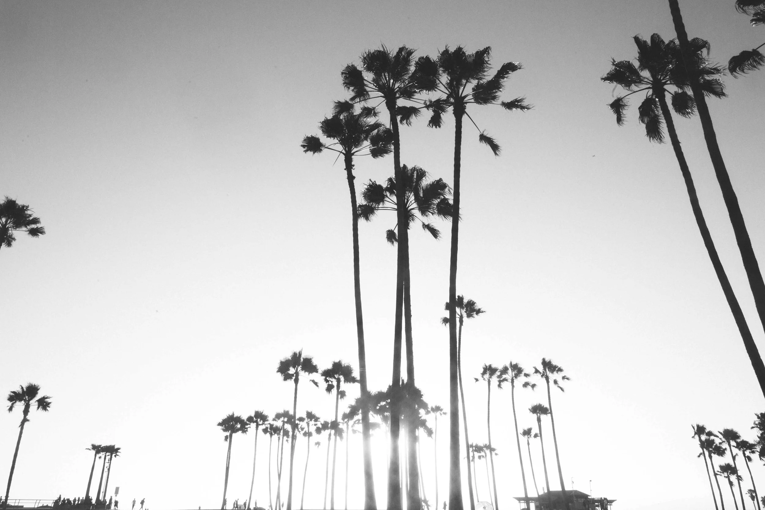 venicebeach-.jpg